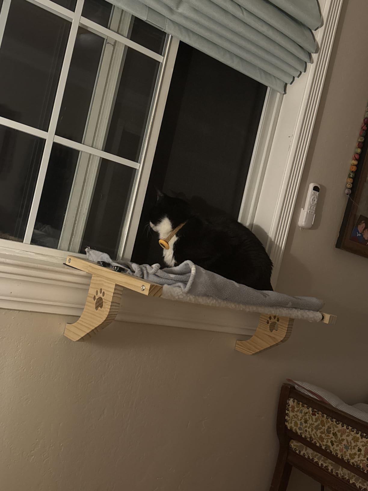 AMOSIJOY Cat Windowsill Perch with Wood & Metal Frame for Large Cat, 21.7in | Solid Wood Frame, Easy to Adjust, Washable Berber Fleece Cover, No Suction Cups Cat Window Seat for Windowsill, Bedside customer photo 1