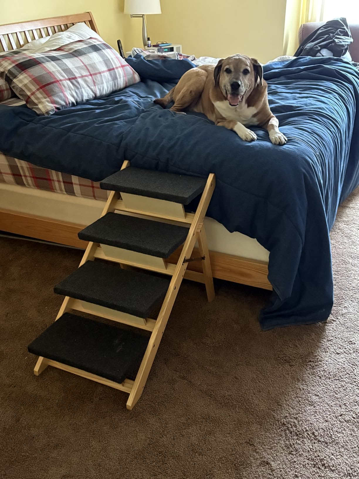 BRIKY 2-in-1 Dog Stairs/Ramp with 4 Steps | Foldable Dog Stairs for High Beds Cars Couch, Durable Wooden Pet Stairs for Small Medium Large Dogs, No Assembly Required customer photo 1