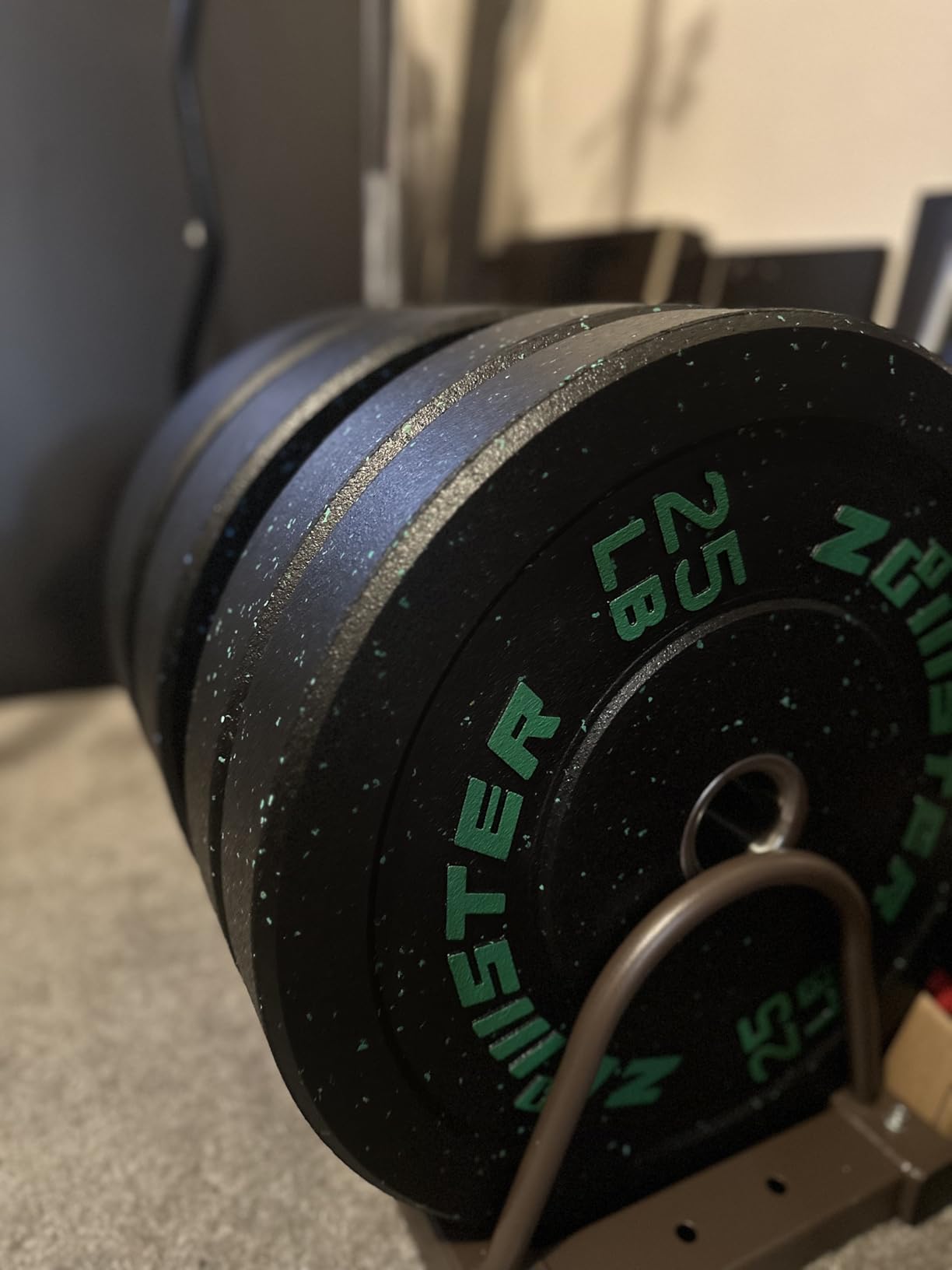 2-Inch Bumper Plate, Olympic Weight Plate HIGH BOUNCE | ODOR-FREE | NOISE-REDUCING | ABSORB IMPACT Bumper Weight Plate with Steel Insert Strength Training Weight Lifting Plate customer photo 2
