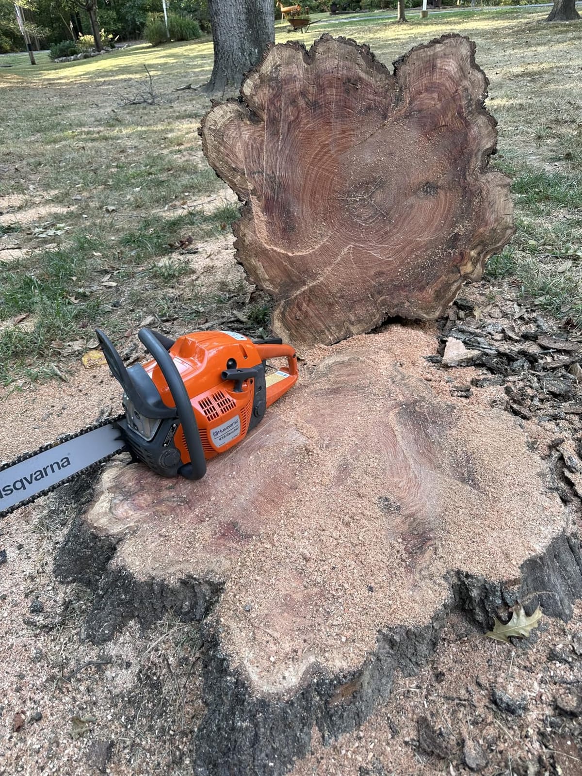 Husqvarna 455 Rancher Gas Chainsaw, 55-cc 3.5-HP, 2-Cycle X-Torq Engine, 20 Inch customer photo 2