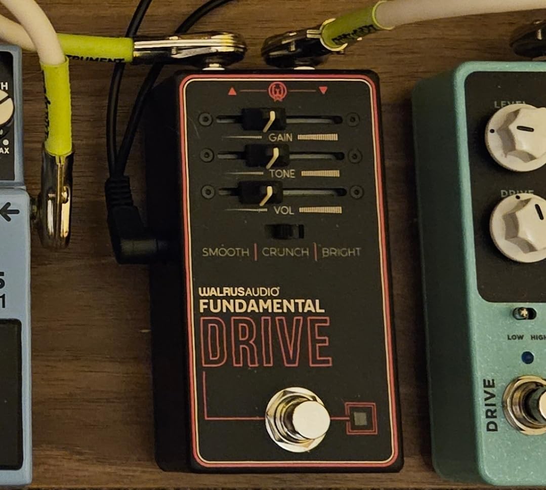 Walrus Audio Fundamental Series Delay customer photo 1