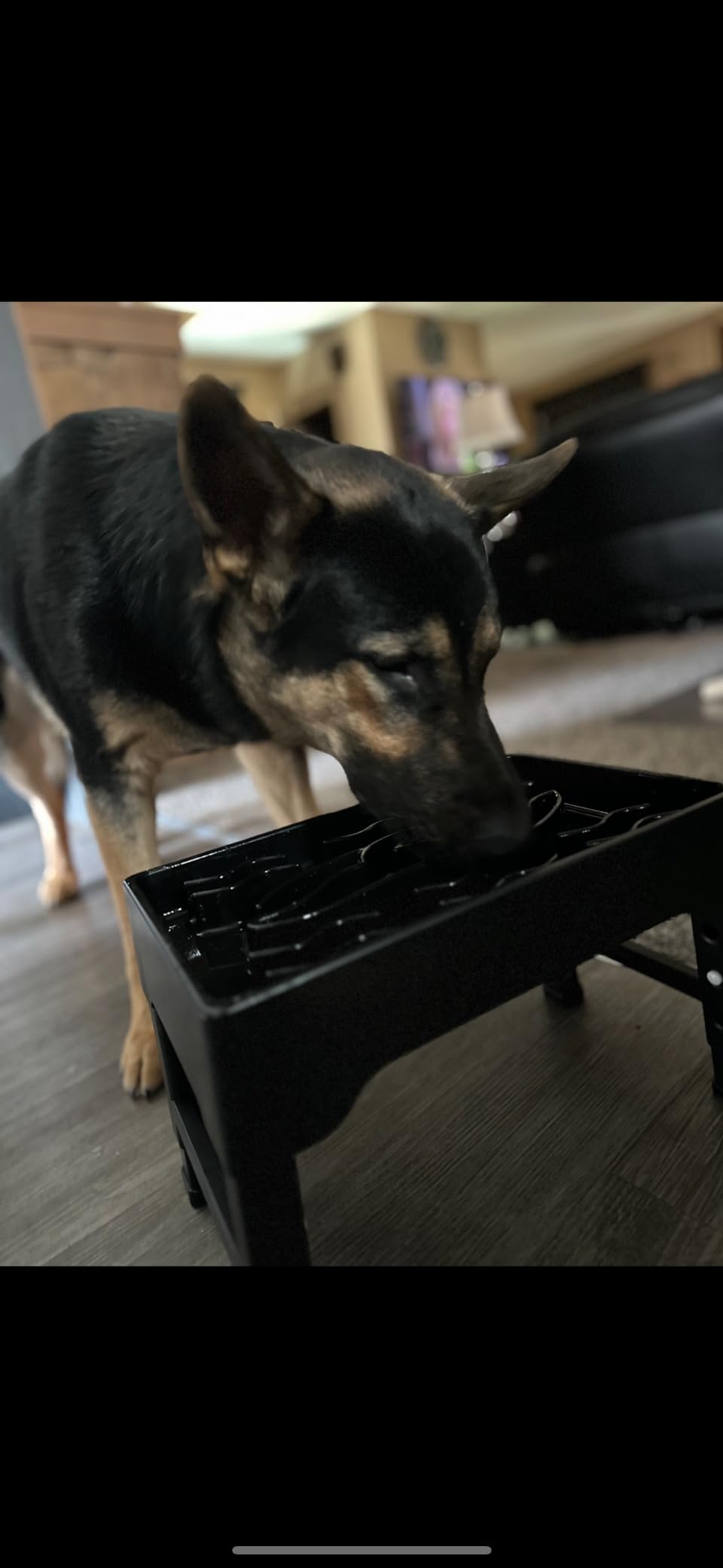 9 Cups Elevated Slow Feeder Dog Bowls 4 Adjustable Heights, Black | Raised Dog Slow Feeder Bowls, Dog Food Bowl Stand, Non Slip Anti Gulping Slow Eating Dog Bowl for Medium & Large Dogs customer photo 2