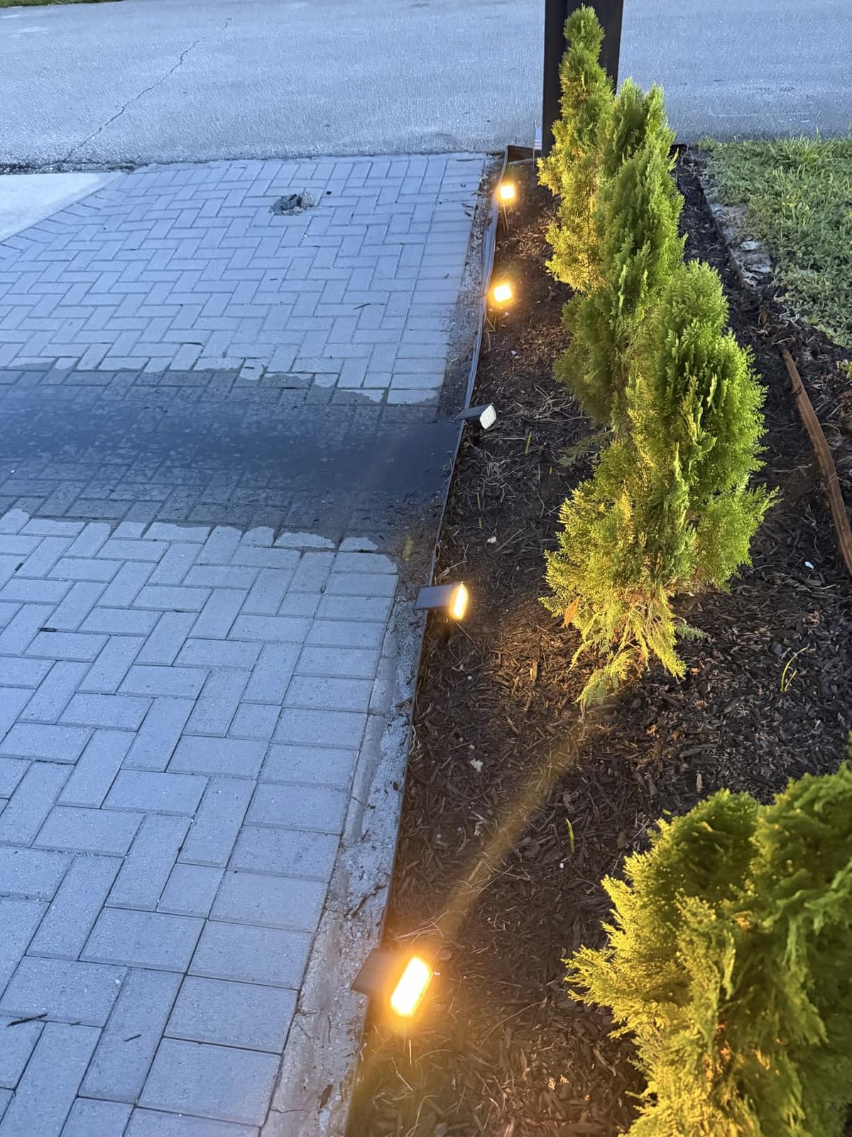 WENATY Solar Spot Lights Outdoor Waterproof Spotlights 12 Pack Warm White | 46LED, 3 Mode, Auto On/Off Landscape Spotlights Solar Powered Flood Lights for Outside Pathway Yard Garden House Walkway Tree customer photo 1