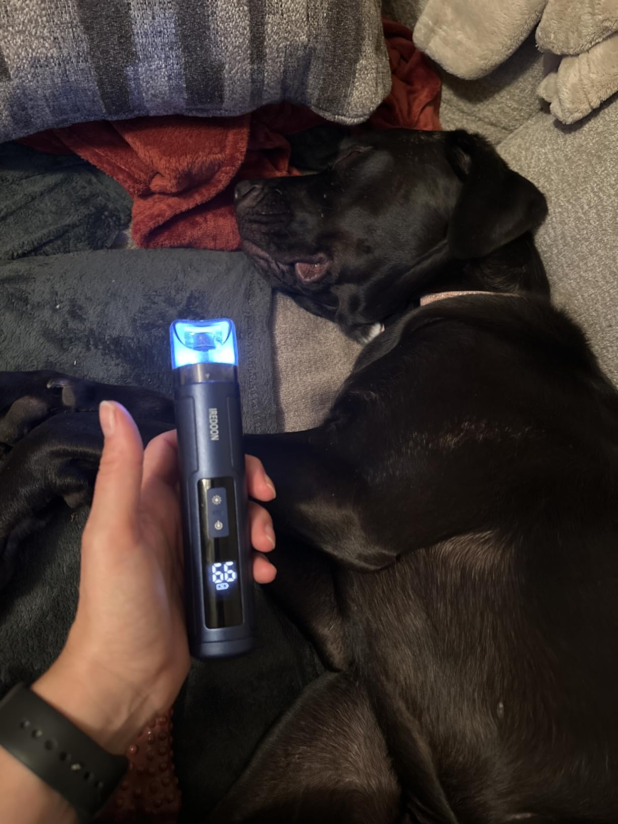 IREDOON Dog Nail Grinder with 4 LED Lights, 3 Speeds Super Quiet for Pets | Low Vibration, Electric Pet Nail Grinder, Professional Painless Paw Grooming & Smoothing for Small to Large Dogs Cats (Black) customer photo 1