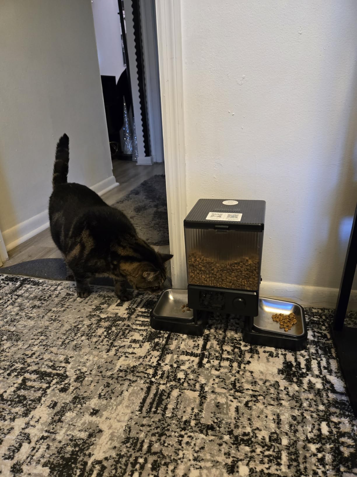 oneisall 5G WiFi Automatic Cat Feeder for 2 Cats, App Control, 20 Cups/5L | Timed Meals, Feed Now, Feeding Logs, Slow Feed, Precise Portions, 10s Voice Recorder, Family Sharing, Stainless Steel Bowls customer photo 1