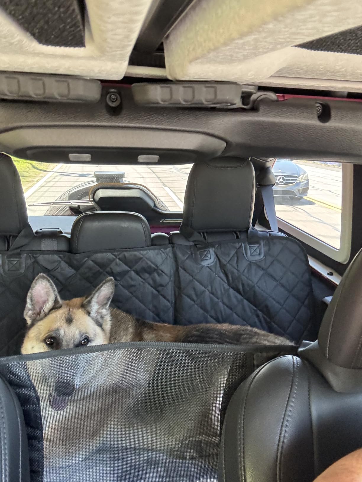 URPOWER Back Seat Extender for Dogs, Large Hard Bottom Dog Car Seat Cover customer photo 1
