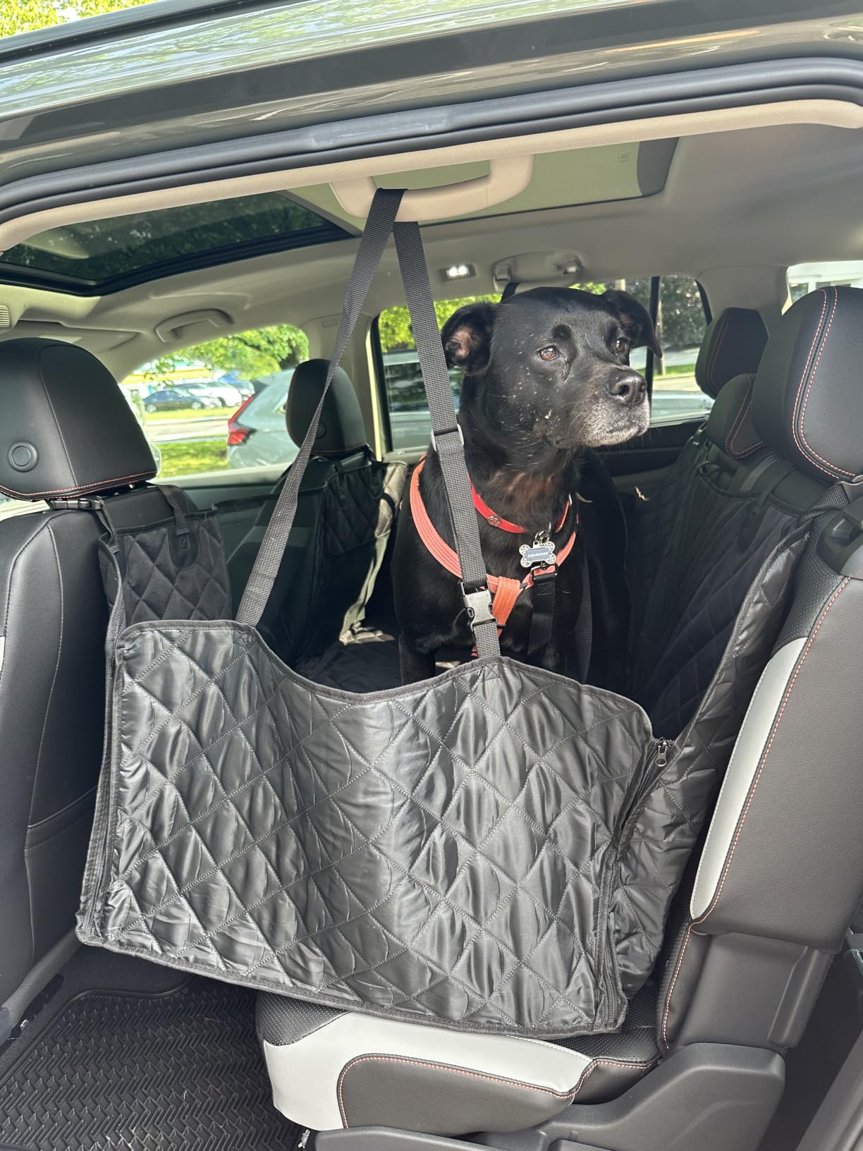 URPOWER Back Seat Extender for Dogs, Large Hard Bottom Dog Car Seat Cover customer photo 2