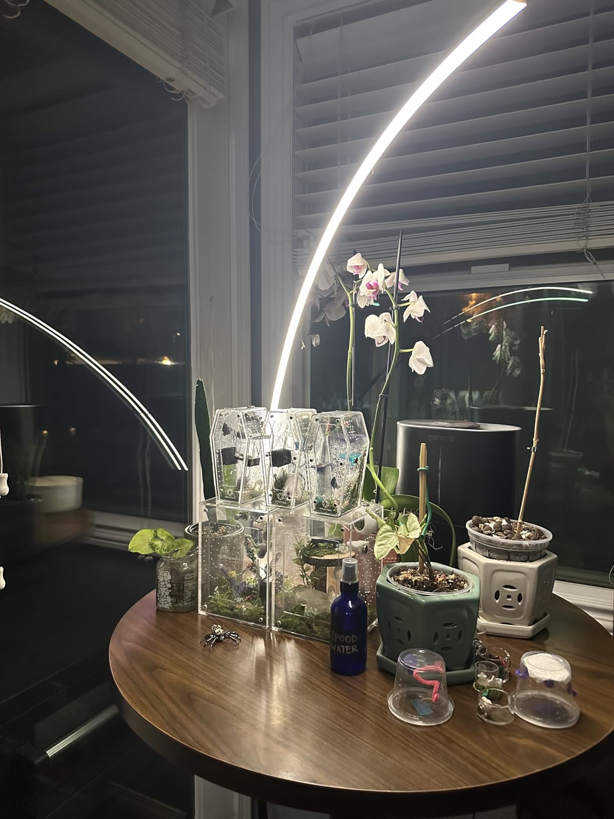 Dimmable LED Lamps for Living Room with 3 Color Temperatures, Ultra Bright 2000LM Arc Floor Lamps, Modern Standing Tall Lamp with Remote Control Reading Floor Lamp for Bedroom Office Classroom customer photo 2