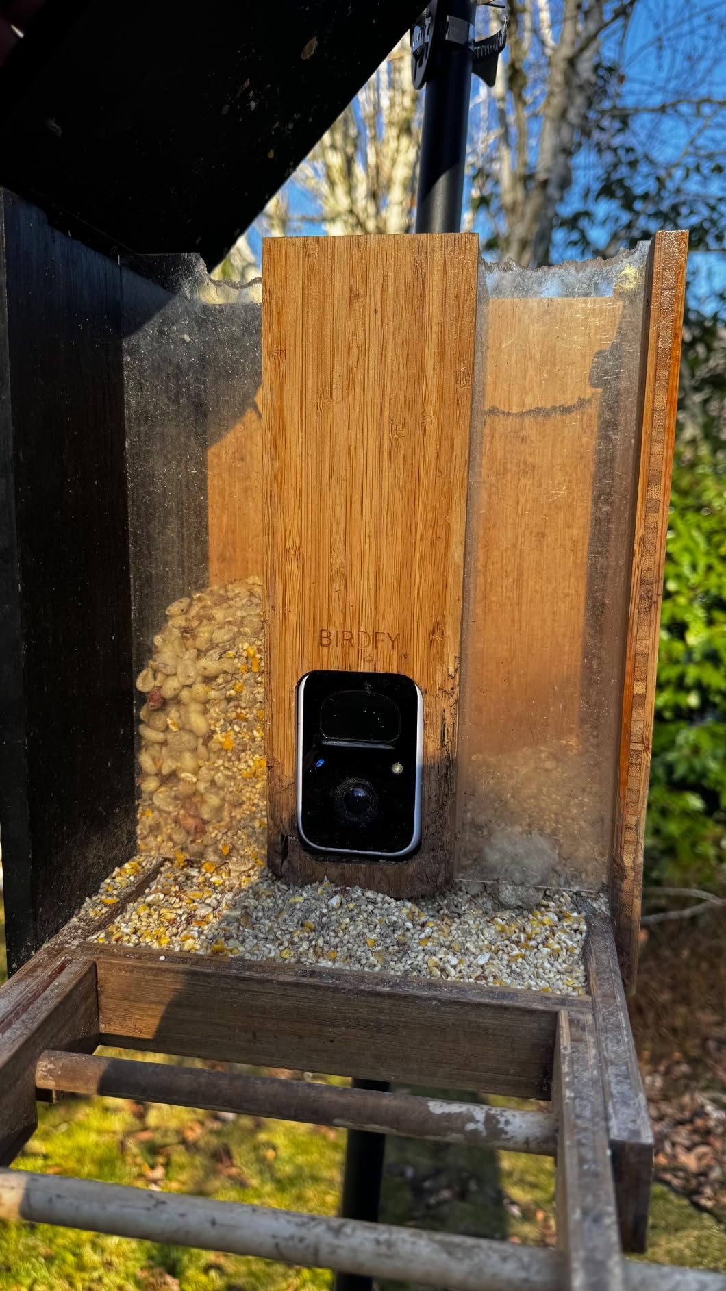 NETVUE by Birdfy Bamboo Bird Feeder with Camera Solar Powered, 2K Live Stream & Lifetime AI Bird Identification & Motion Detection, birdswatching Ideal Bird Feeder Gift for Moms and Bird Lovers customer photo 2