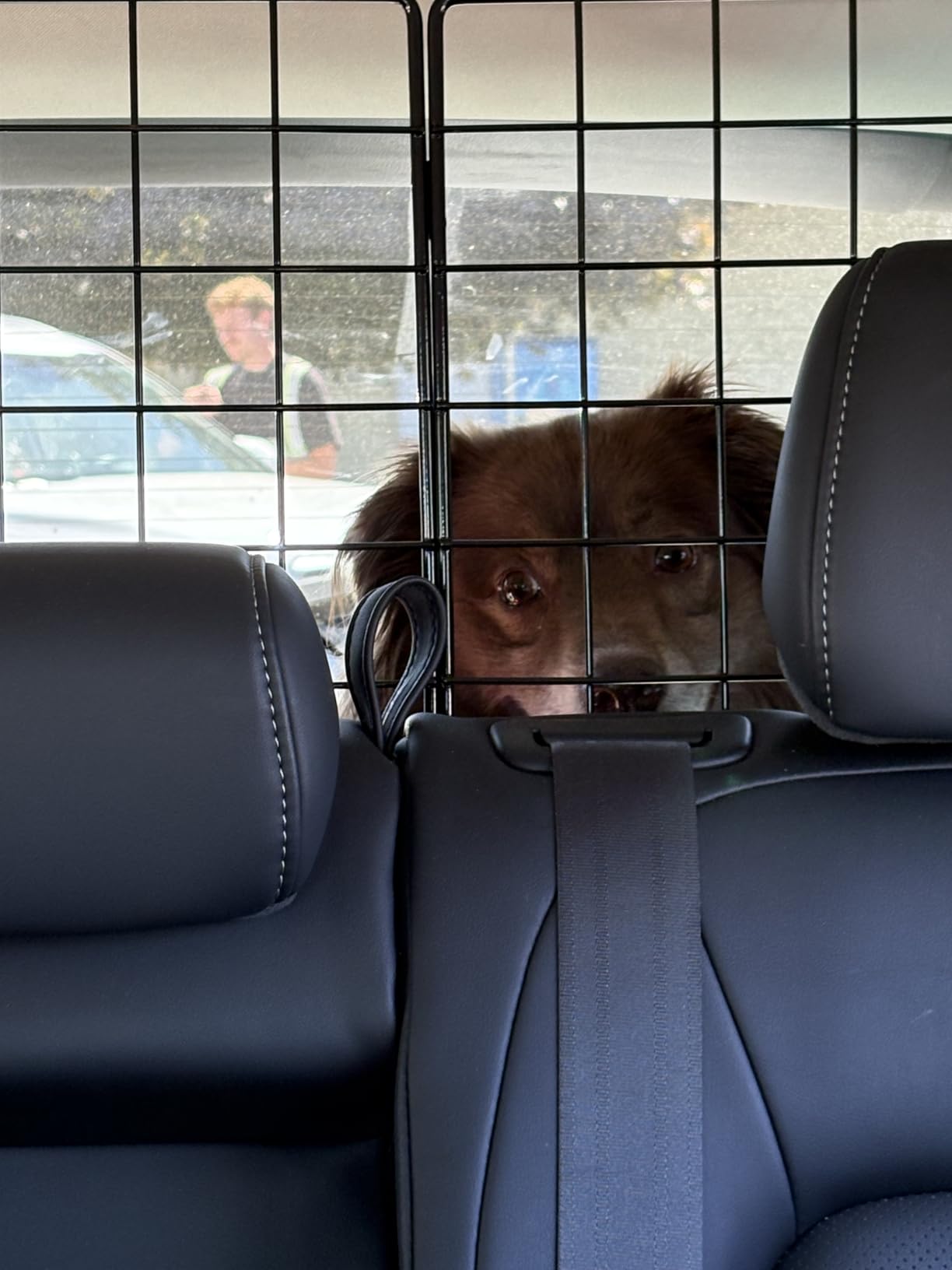 rabbitgoo Dog Car Barrier for SUV, Heavy-Duty Steel Wire Pet Gate, Foldable | Adjustable Universal-Fit Divider, Triple Folding for Cargo Area Vehicles Trucks Safety Travel customer photo 2
