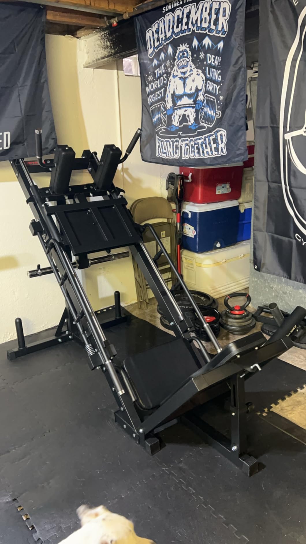 RitFit Leg Press Hack Squat Machine with Linear Bearing, 1200LB Capacity | Alloy Steel Frame with 5+3 Adjustable Angles, Diamond Footplate, Weight Storage and 1200LB Capacity for Home Gym customer photo 1