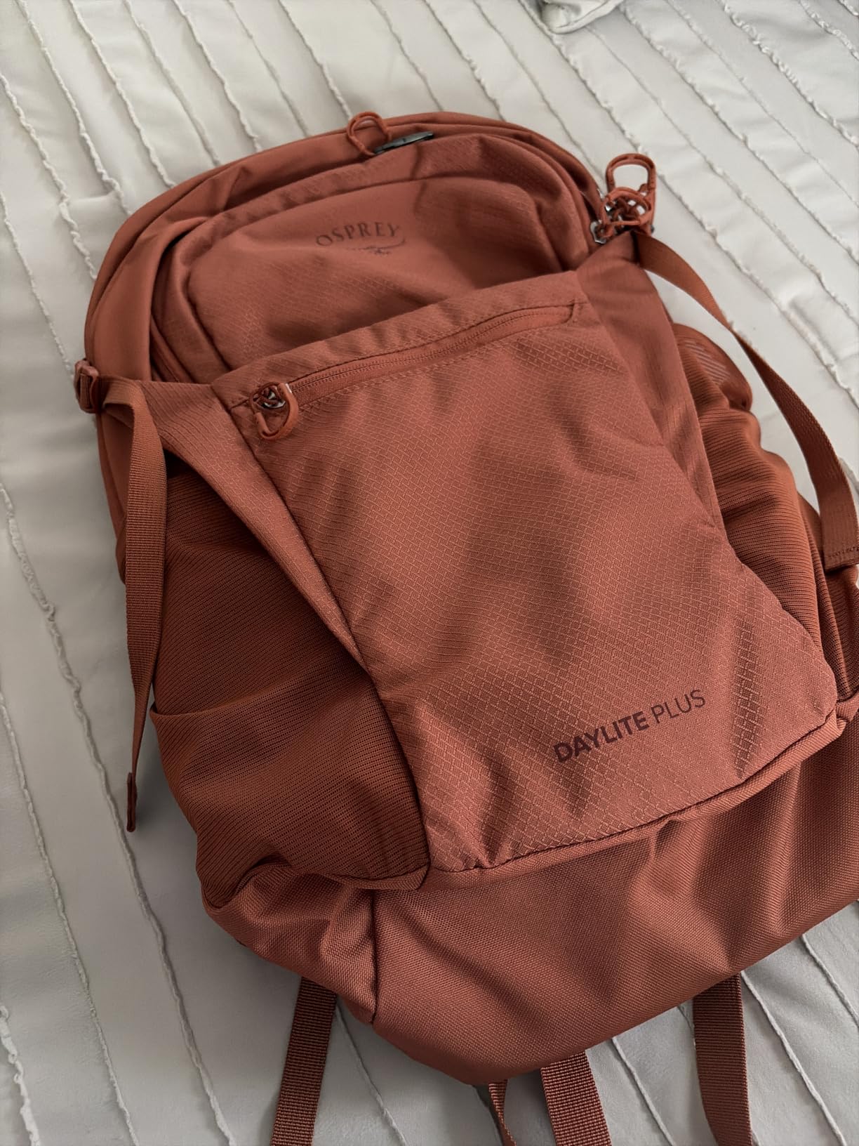 Osprey Daylite Plus Commuter Backpack, Tan OS customer photo 1