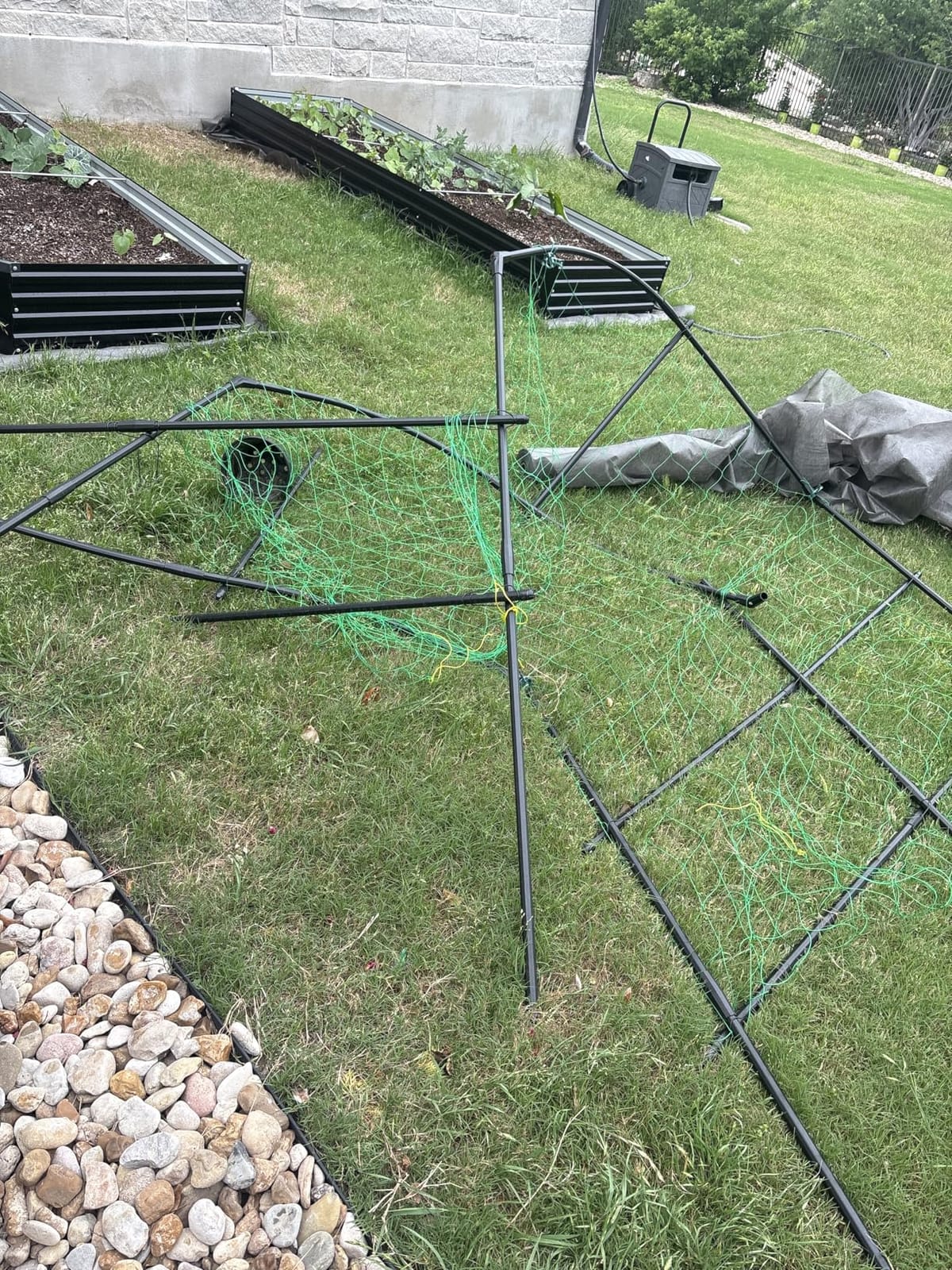 DoCred Garden Arch Trellis, 87''H x 75''L Metal Trellis for Climbing Plants | Large Plant Support Trellis Archway for Climbing Vine Vegetable/Fruit/Flower Outdoor Yard Lawn Garden Arch Tunnel Trellis customer photo 2