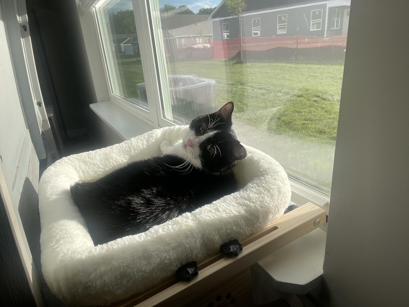 AMOSIJOY Wooden Cat Windowsill Perch with Zipper Cushion Bed, 21.7in | Sturdy Wood & Metal Frame Hold up to 40lbs, Machine Washable, Easy to Adjust, Hook-on Mounting Cat Hammock Seat for Large Cat customer photo 2