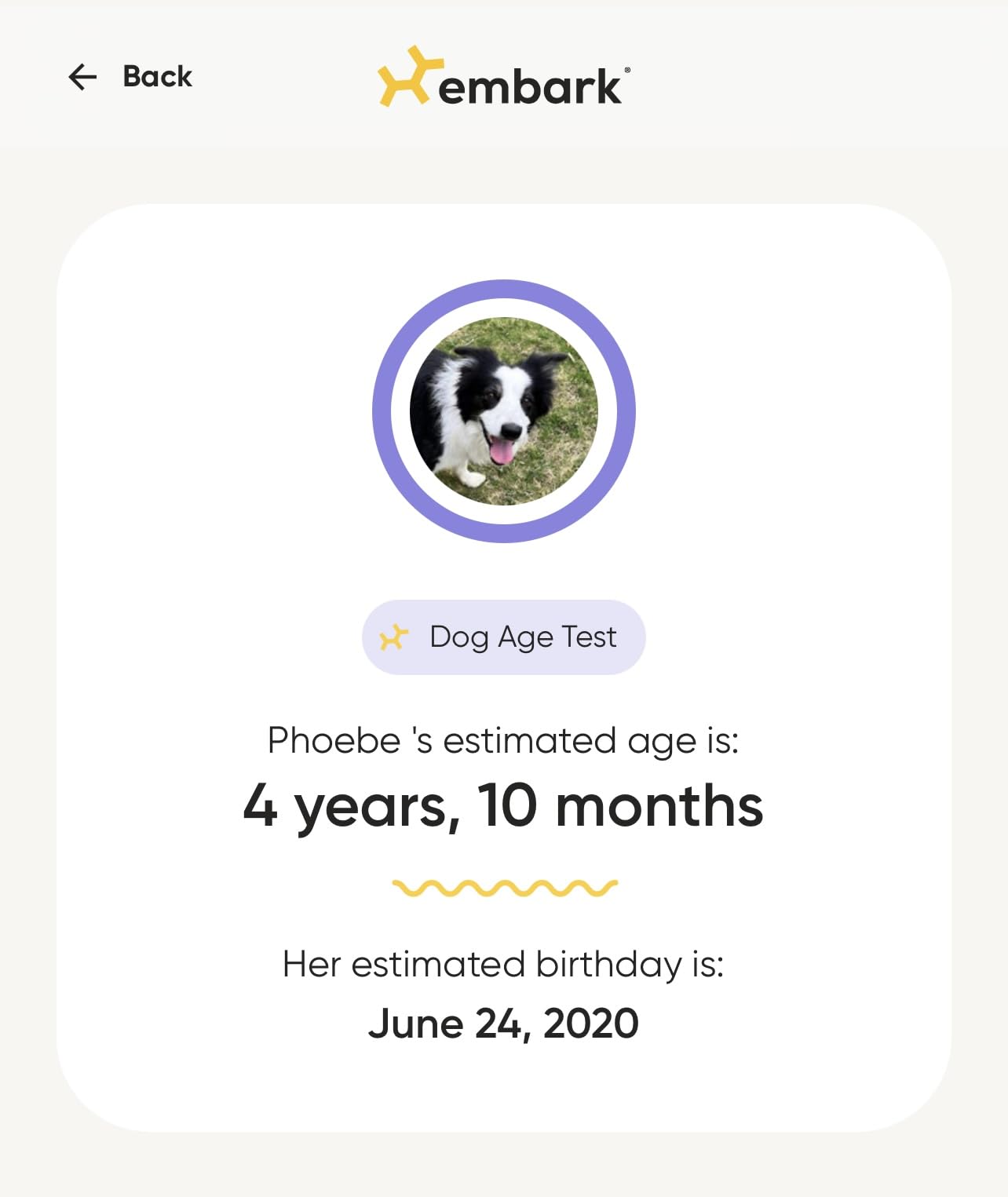 Embark Dog Age Test Kit - Estimates Dog's Age & Birthday from DNA | DNA age test for dogs using methylation science. Ideal for rescue & unknown-history dogs. Includes life-stage care tips. customer photo 1