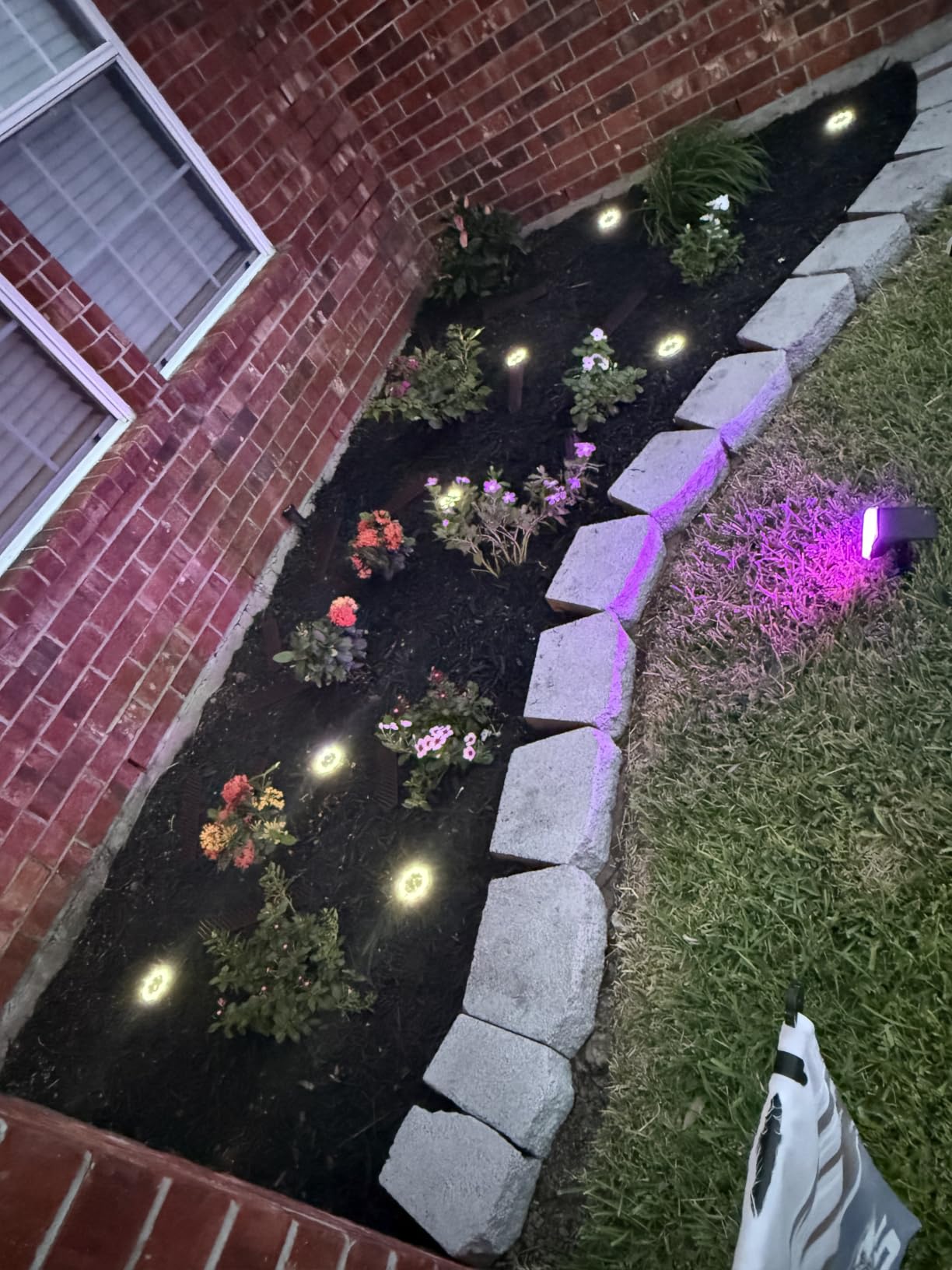 btfarm 16 Pack Solar Lights Outdoor Waterproof, 8 LED Solar Ground Lights | Stainless Steel, Easy-to-Install Flat Solar Disc Lights, Pathway Lights for Garden Lawn Patio Yard Path Landscape, Cool White customer photo 2