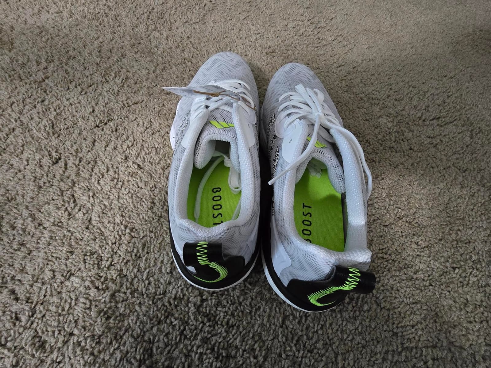 adidas Men's Codechaos 25 Spikeless Golf Shoes customer photo 1