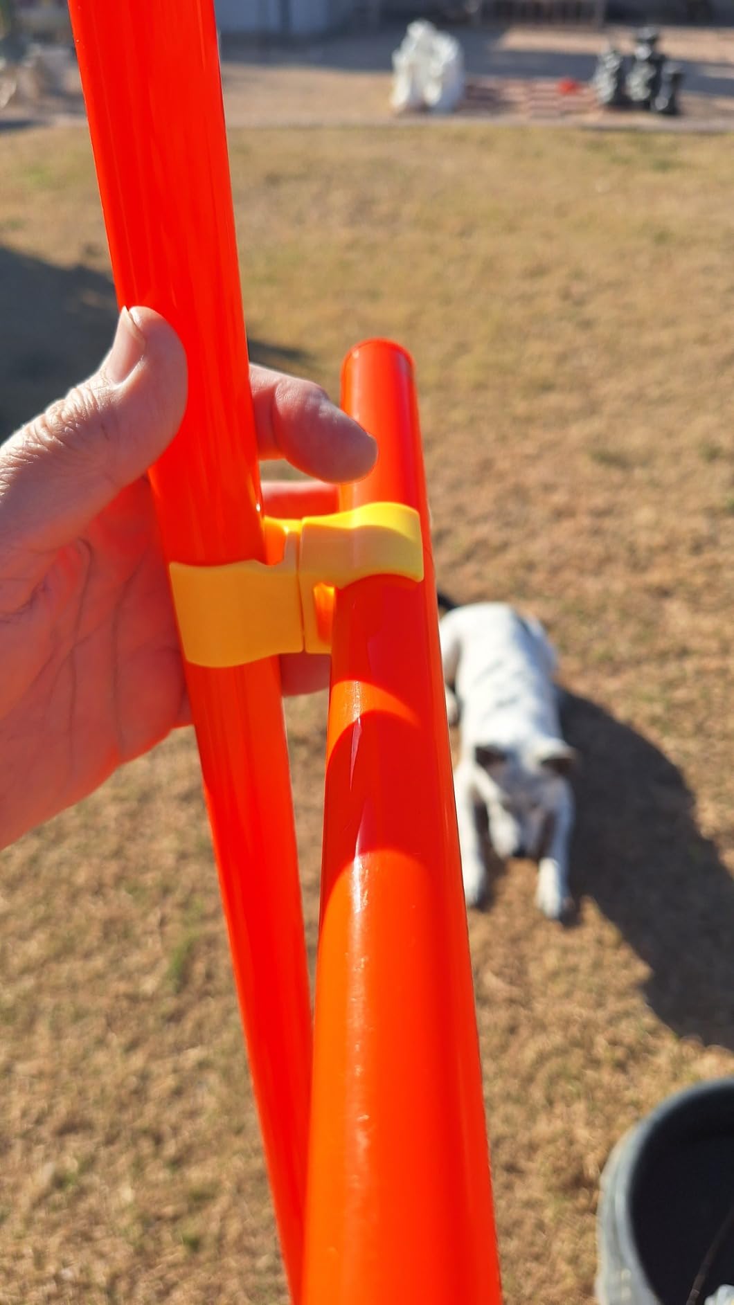 XiaZ Dog Agility Course Backyard Set, Dog Obstacle Course Training Starter Kit Pet Outdoor Game with Tunnel, Agility Hurdle, Weave Poles, Jump Ring, Pause Box, Collapsible Dog Bowls and Storage Bag customer photo 2