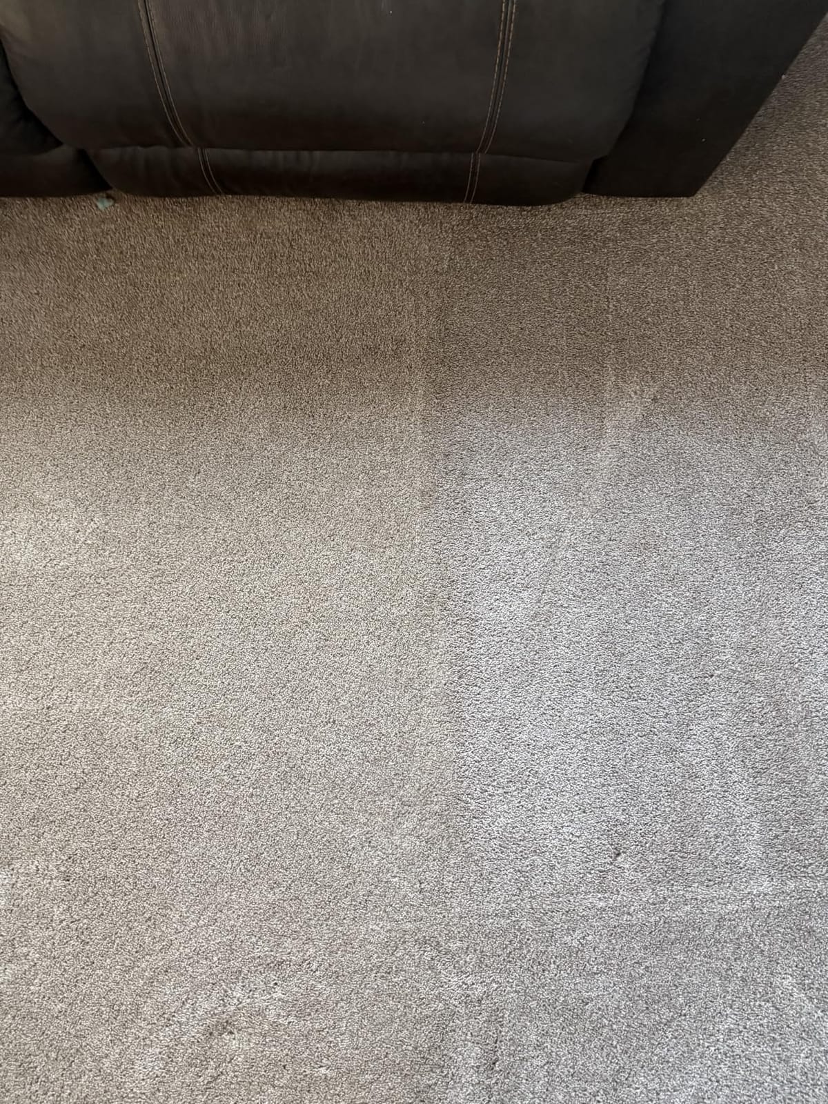 BISSELL TurboClean Upright Carpet Cleaner, OXY Formula, 3952 customer photo 1