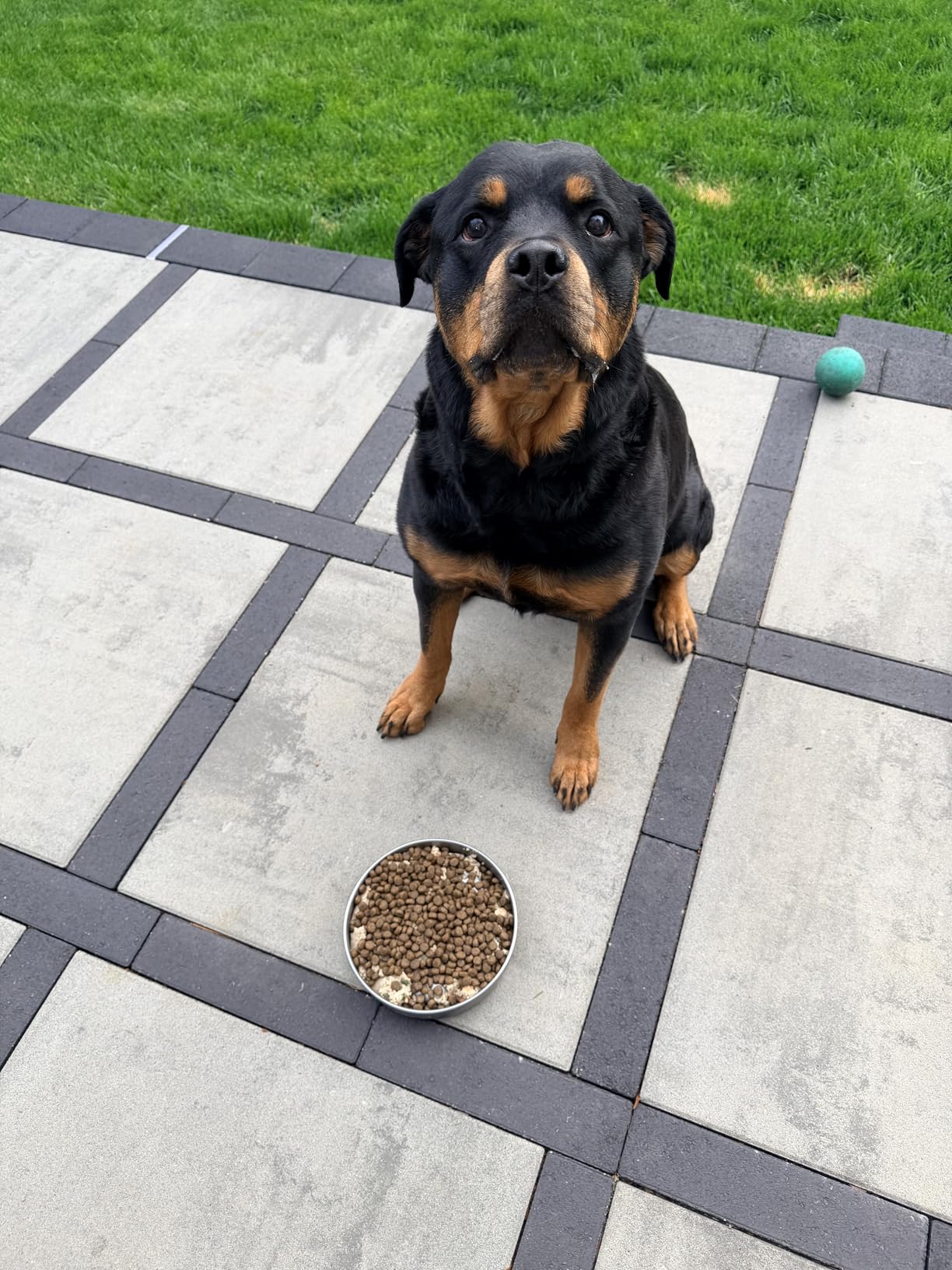 Feedoo Slow Feeder Dog Bowl-3Cups for Large Breeds, Double Wall Food-Grade Stainless Steel, Heavy Duty with Non-Slip Rubber Base, Puzzle Maze Bowl to Slow Down Eating customer photo 2