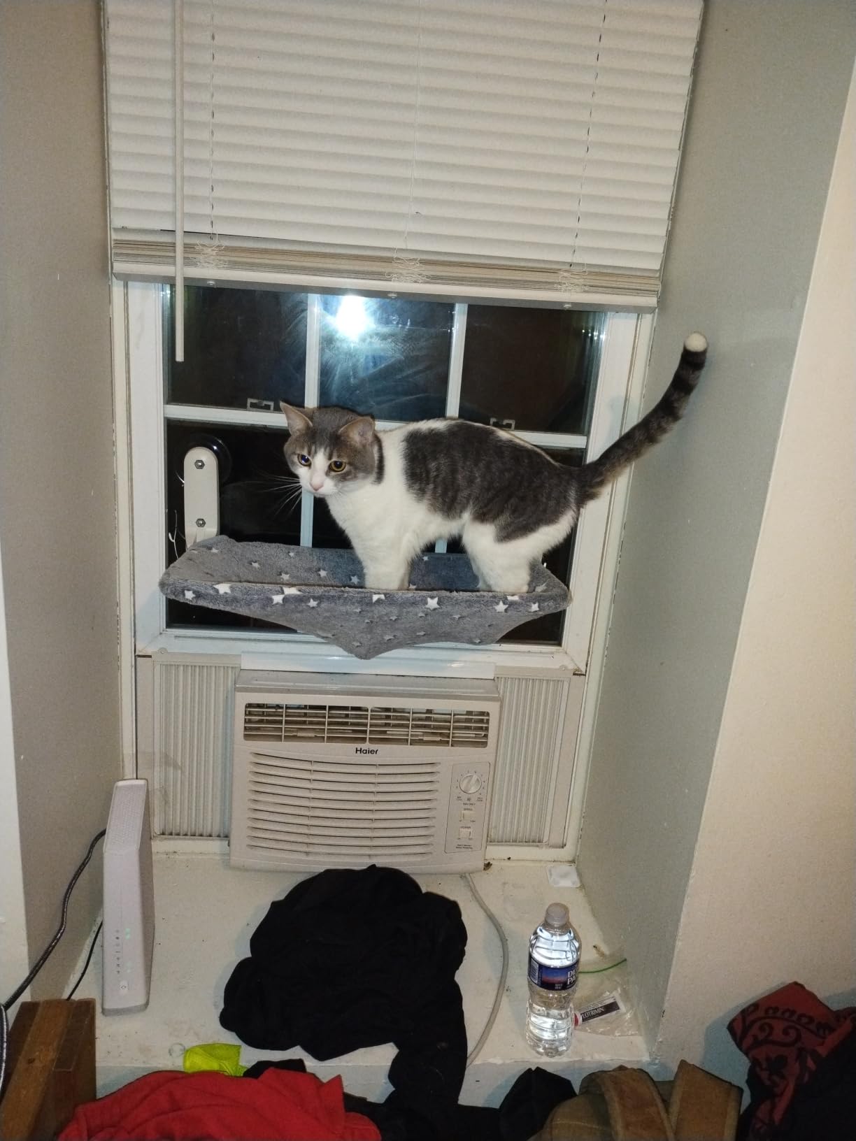 Zoratoo Glow in the Dark Cat Window Perch, Foldable Cordless Pet Hammock, M | Glowing Stars Fabric, Sturdy Metal Frame, Removable for Machine Wash, Comfortable Sunken Design Resting Seat for Indoor Cats customer photo 2