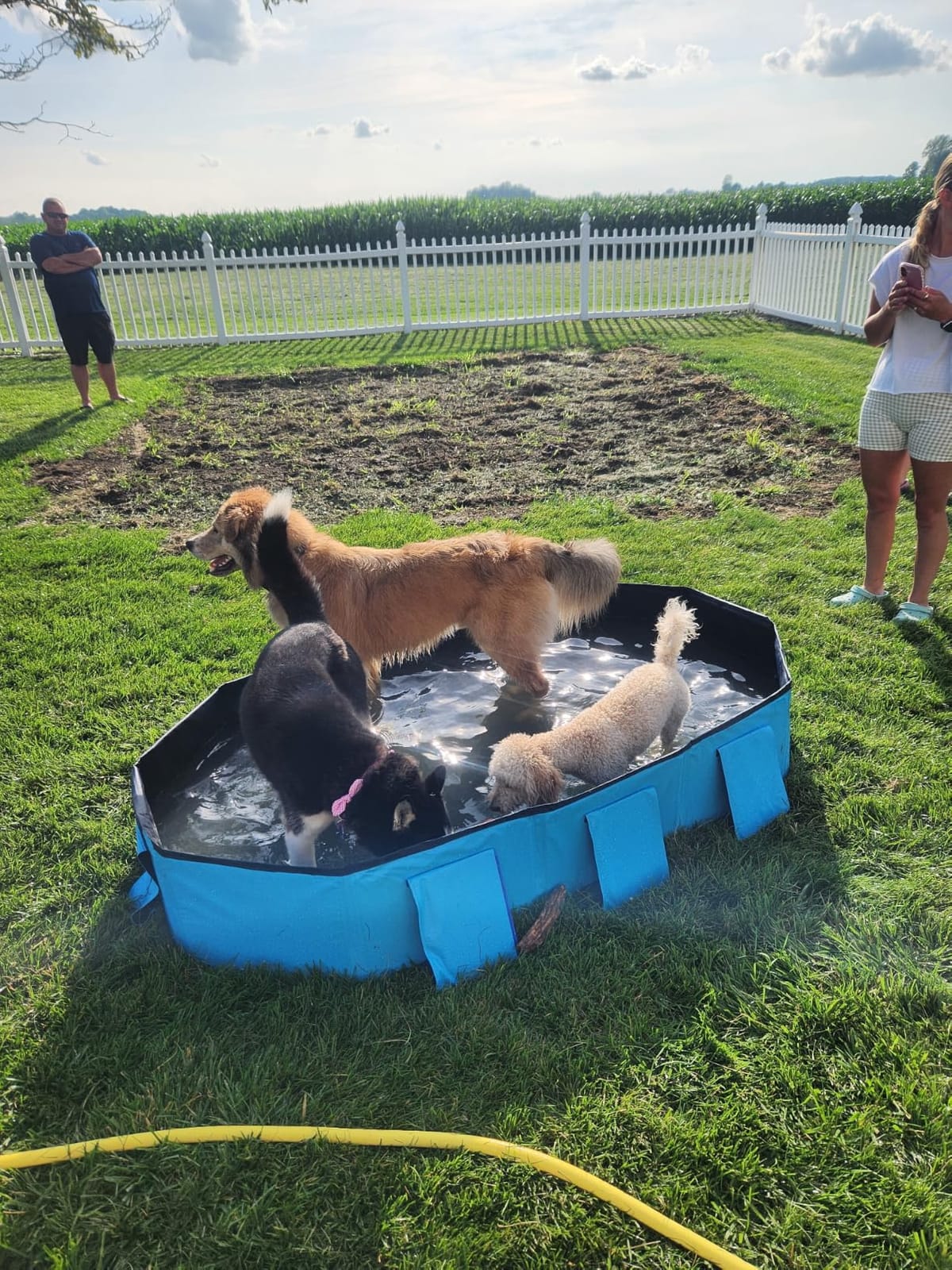Peteast Dog Pool for Large Dogs, Foldable Hard Plastic, 71 x 39 x 12 in | Extra Large Collapsible Pet Bath Tub with Non-Slip Base for Indoor, Outdoor and Backyard Use, Blue customer photo 2