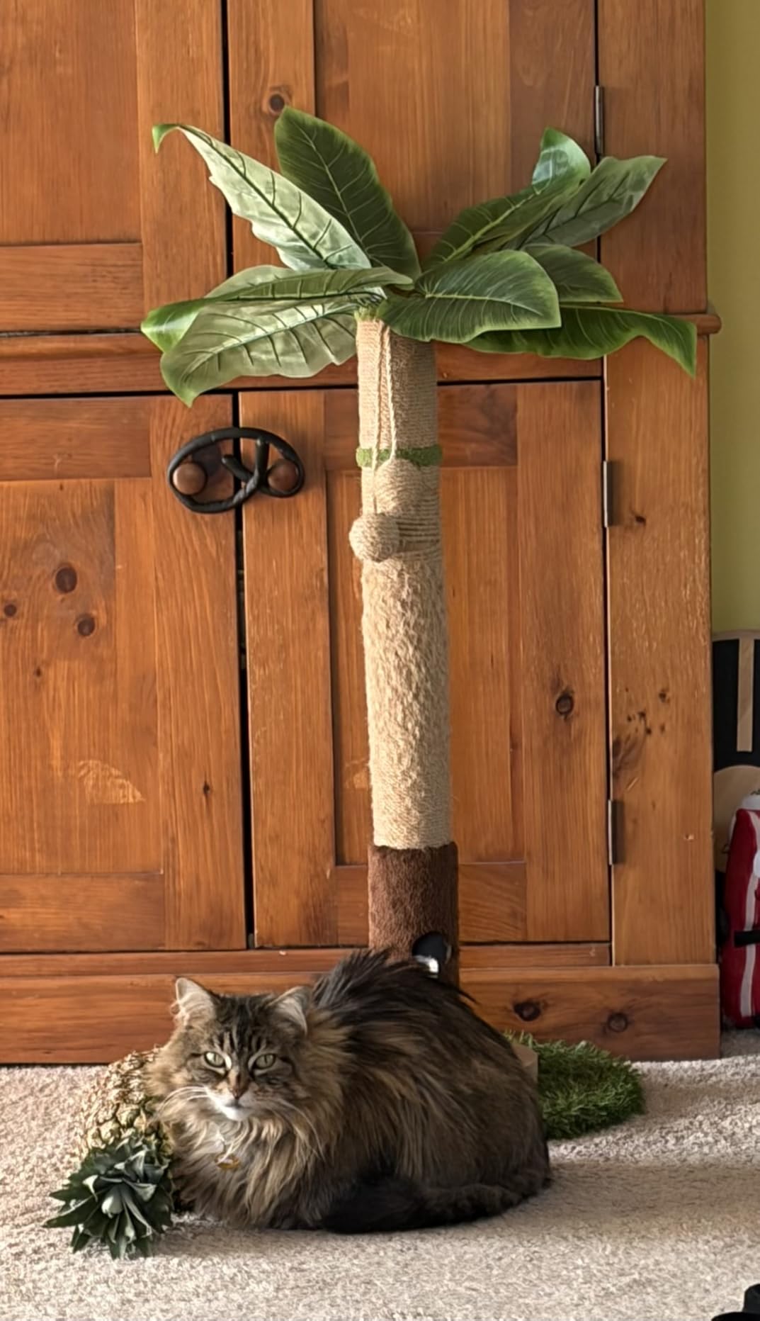 Woochpet Tall Cat Scratching Post, Cat Toys, Cat Scratcher Tree for Large Cat | Heavy Duty, Protect Sofa, Modern Boho, Cat Ball Track, Cat Tree, For Indoor Cats customer photo 2