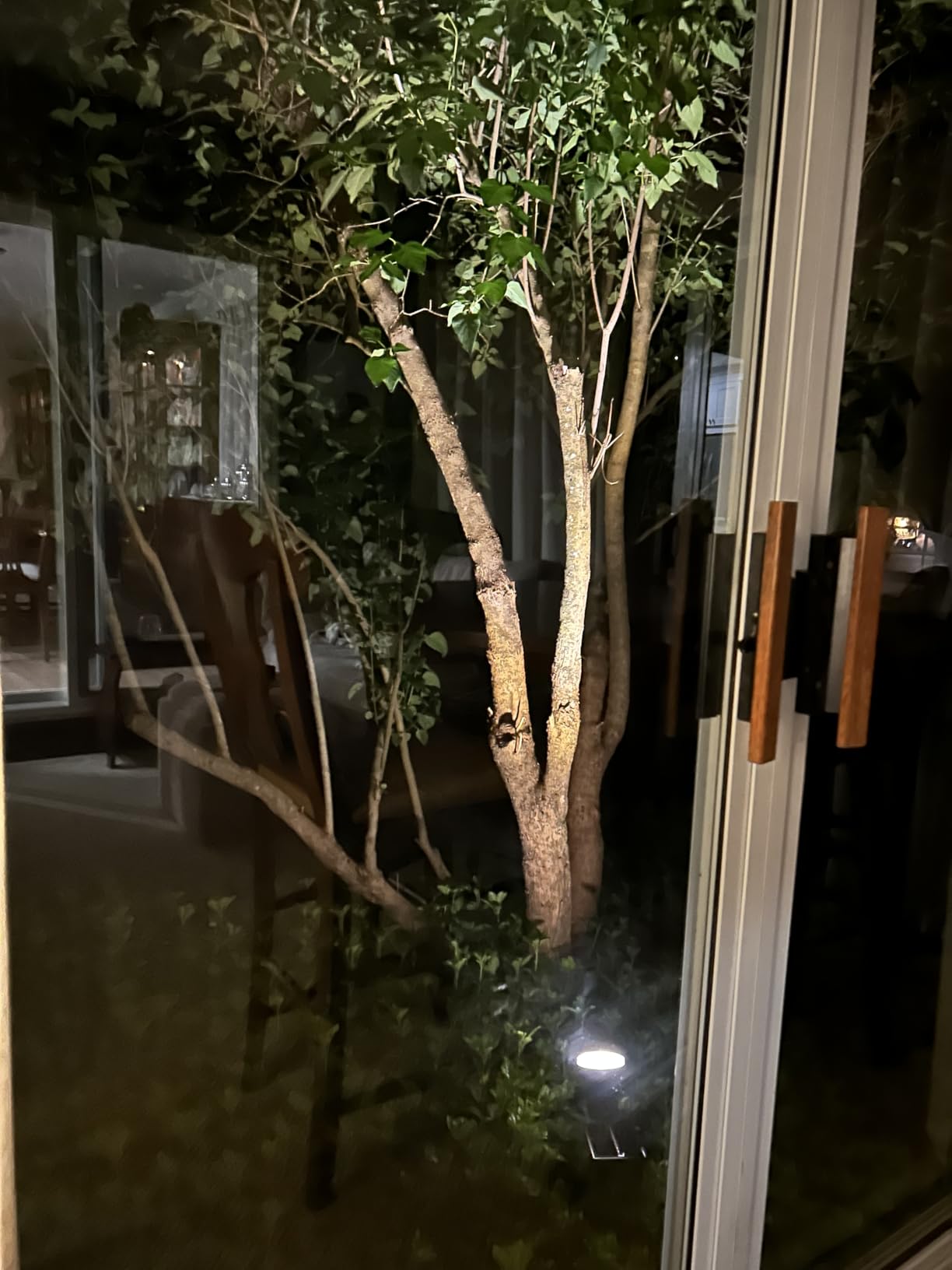 Solar Spot Lights Outdoor Waterproof: 1000LM Big Adjustable Spotlight - 2-in-1 15Hrs+ Long Lasting Spot Light - Solar Powered Spotlights Landscape Lighting for Garden, Yard, Tree, Flag, Wall, Pathway customer photo 2
