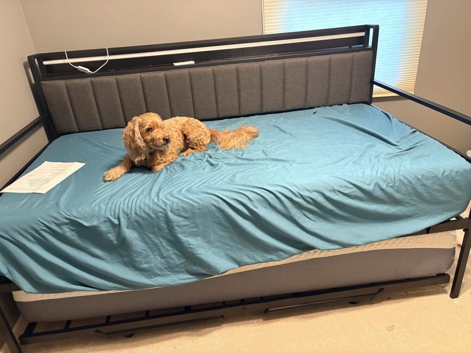 Daybed with Trundle and LED Light, Heavy Duty Metal Twin Bed Frame with Upholstered Storage Headboard & Charging Station, Day Bed Pop Up Trundle Bed Twin for Living Room,Bedroom and Guest Room, Black customer photo 2