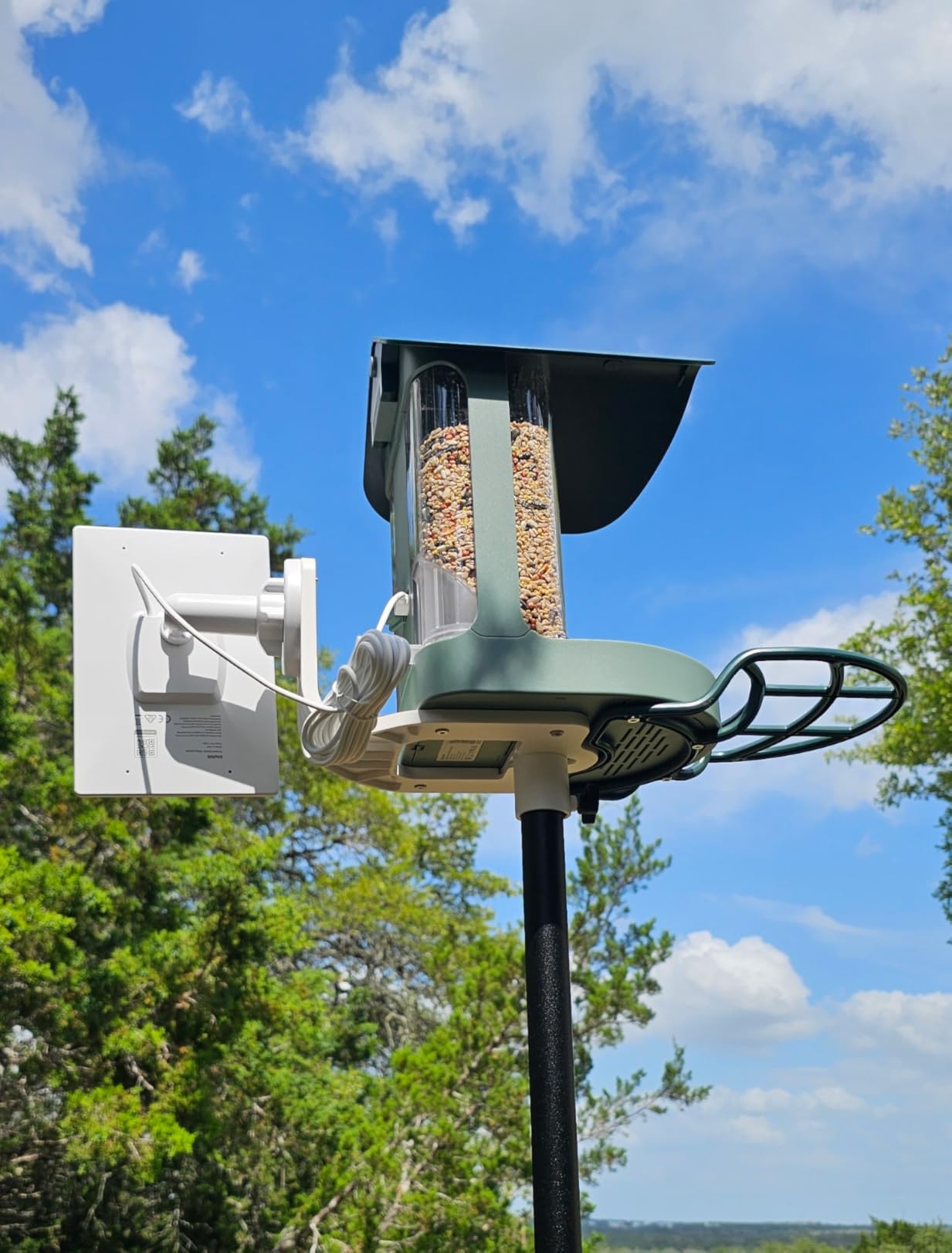 Smart Bird Feeder with 4K AI Camera Solar Powered, AI Bird Identification for 10,000+ Species, 8MP Photo customer photo 2
