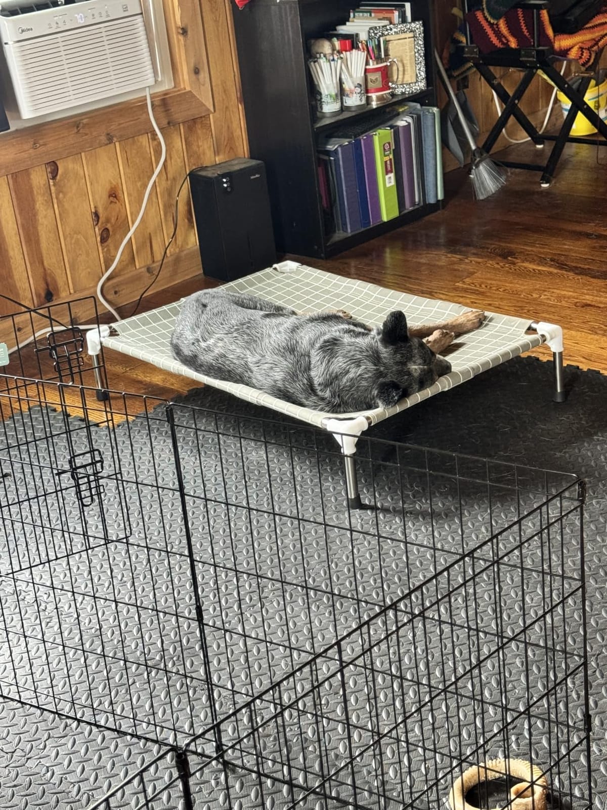 Elevated Dog Bed Pet Cot - Dog Cots Beds, Detachable Raised Cat Pet Bed, XL | 0.5mm stainless steel frame, Heavy-duty double-layer cotton fabric, Extra-large resting platform, Portable for outdoor camping customer photo 1