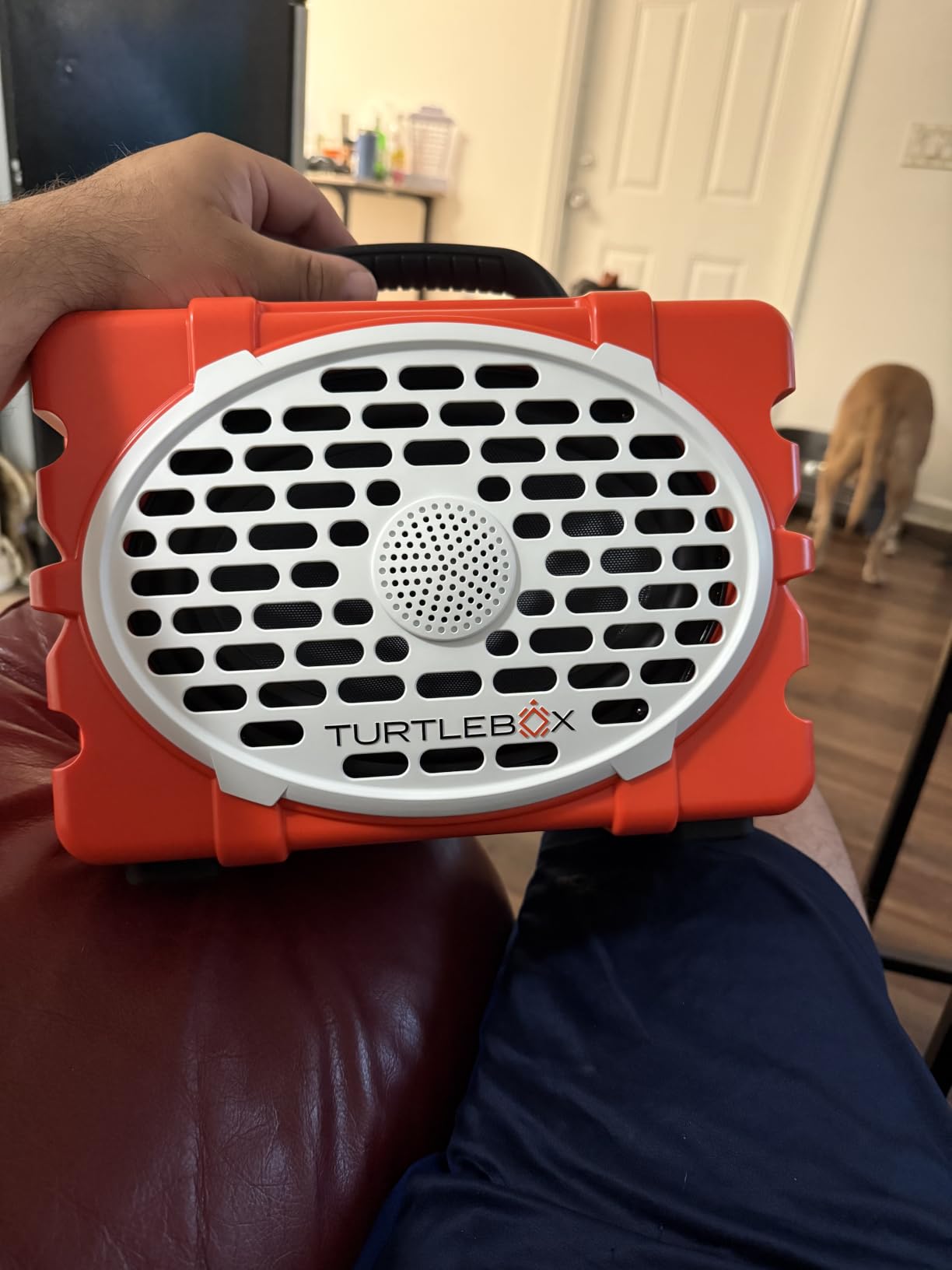Turtlebox Original Gen 3 Outdoor Bluetooth Speaker, Waterproof, Tan | Midsize Flagship, Rugged and Portable, Plays to 120dB, IP-67, 25hr+ Battery Life, Unlimited Pairing for Full Stereo customer photo 1