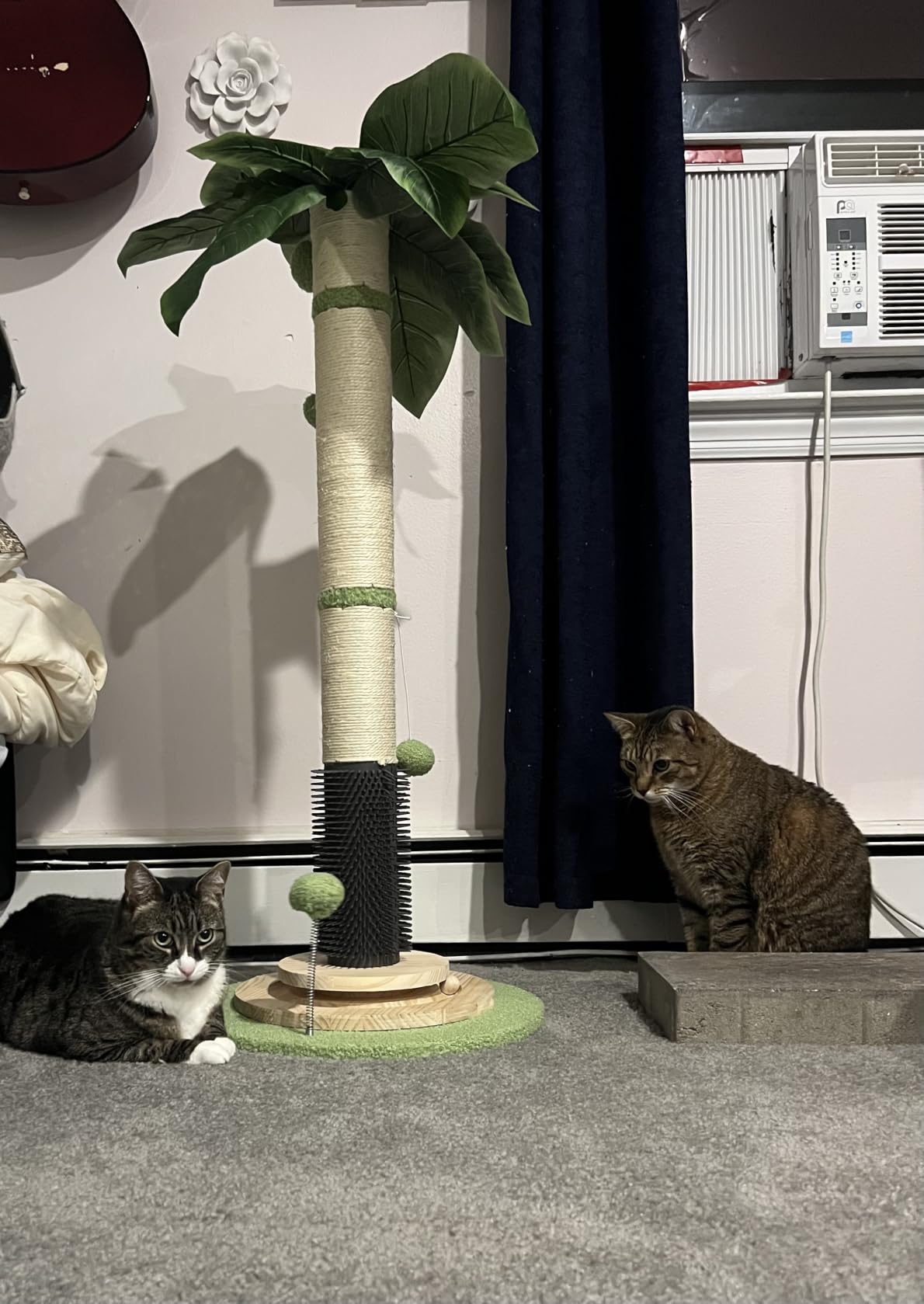 45'' Extra Tall Cat Scratching Post for Large, Heavy Duty Scratcher Tree | 3.5'' Natural Sisal, Wood Base, Climbing Pole Full Body Stretching, Artificial Flower, Stable Tower, Interactive Toy, Self Groomer customer photo 1