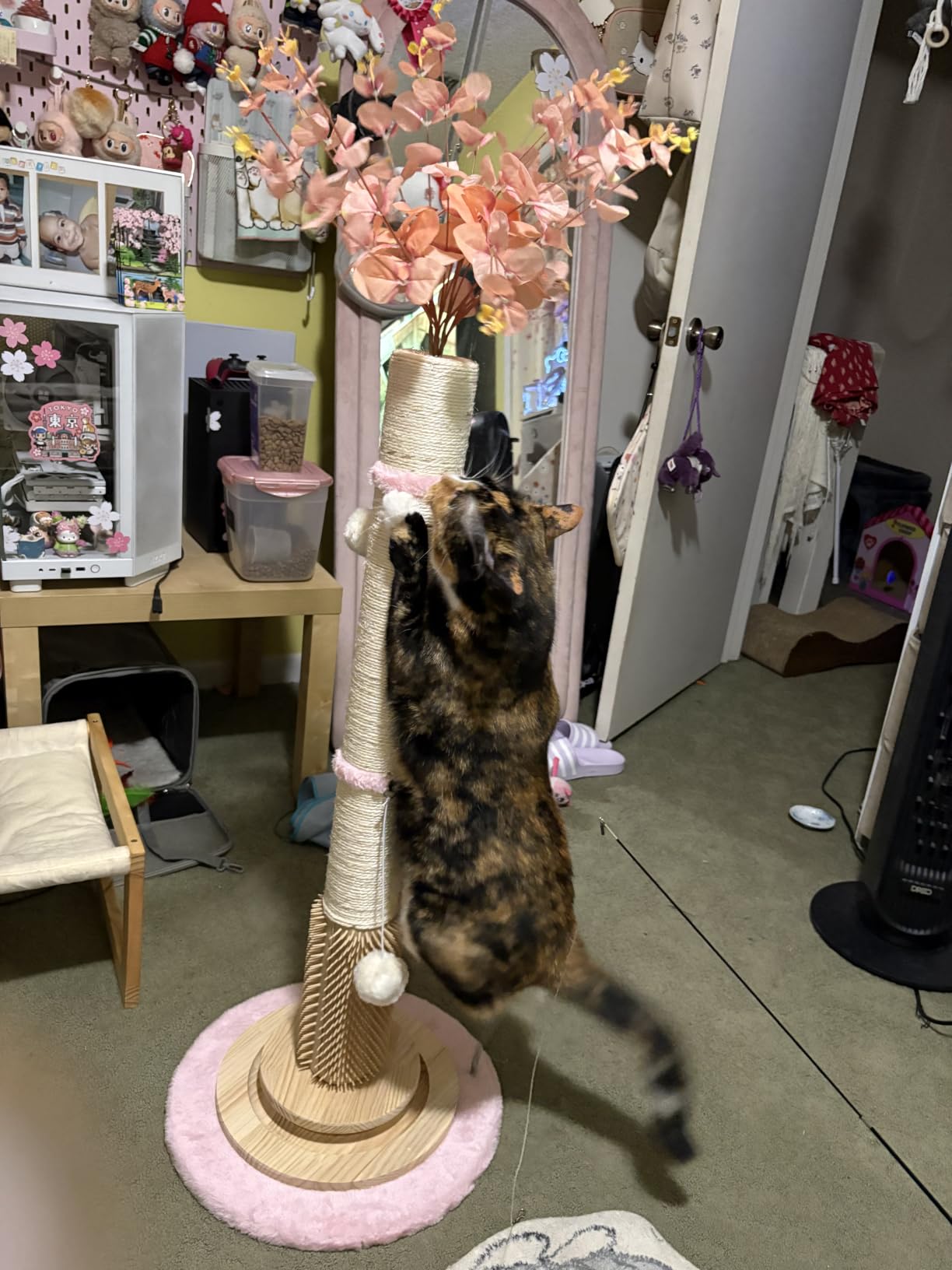 45'' Extra Tall Cat Scratching Post for Large, Heavy Duty Scratcher Tree | 3.5'' Natural Sisal, Wood Base, Climbing Pole Full Body Stretching, Artificial Flower, Stable Tower, Interactive Toy, Self Groomer customer photo 2