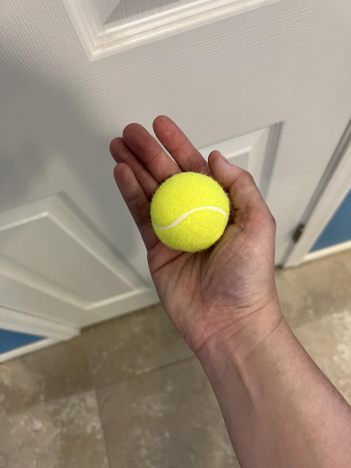 Automatic Dog Ball Launcher-Interactive Dogs Balls Thrower for Small Dogs | Distance Settings, Indoor Outdoor Mental Stimulating Dog Toy, with 3 2.3