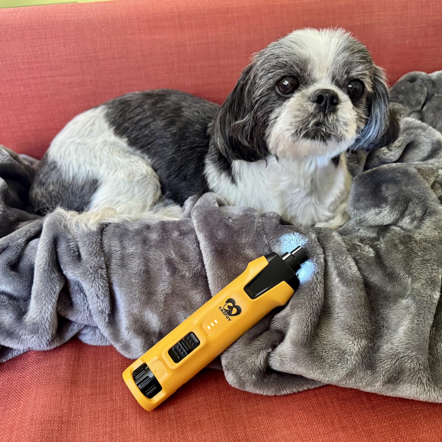 Casfuy 6-Speed Dog Nail Grinder - 50%+ Boost Power Dog Nail Trimmers Quiet with Dust Cap & 2 LED Lights & 2000mAh Battery & 4.8V Motor Electric Pet Toenail File Tool for Large Medium Small Dogs Cats customer photo 1