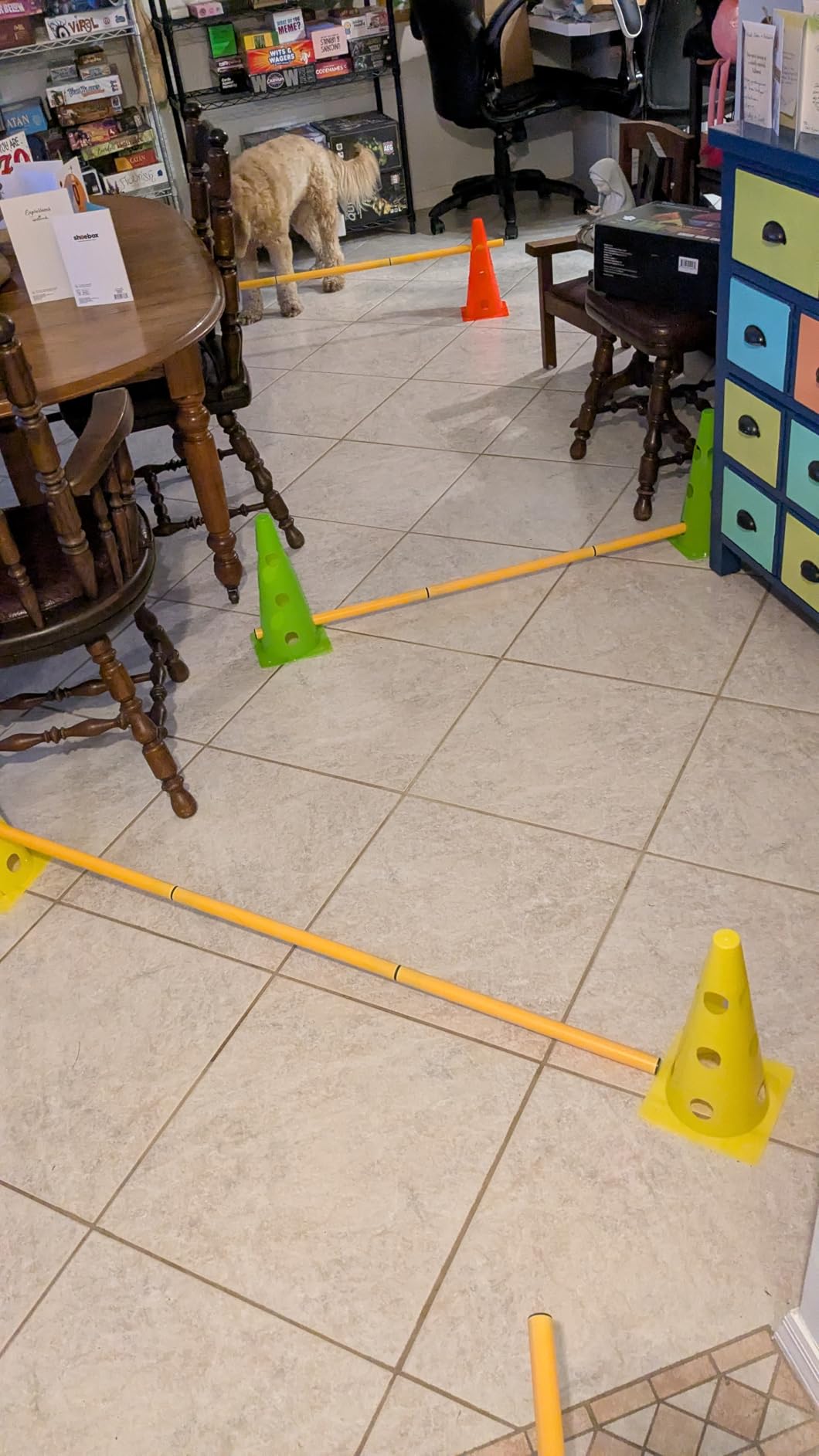 Dog Agility Training Hurdle Cone Set, Adjustable Dog Agility Equipment Obstacle Course Backyard Equipment for Pet Exercise customer photo 2