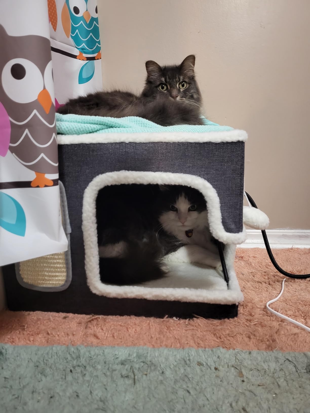 ZOMISIA Heated Cat House Bed for Indoor Cats, Cat Hideaway Cube for Sleeping | 25 Timer & 11 Temp Adjustable, Cat Warming Bed for Winter with Fluffy Ball Hanging, Removable Pet Heating Pad, 16x16x13.5 in customer photo 1