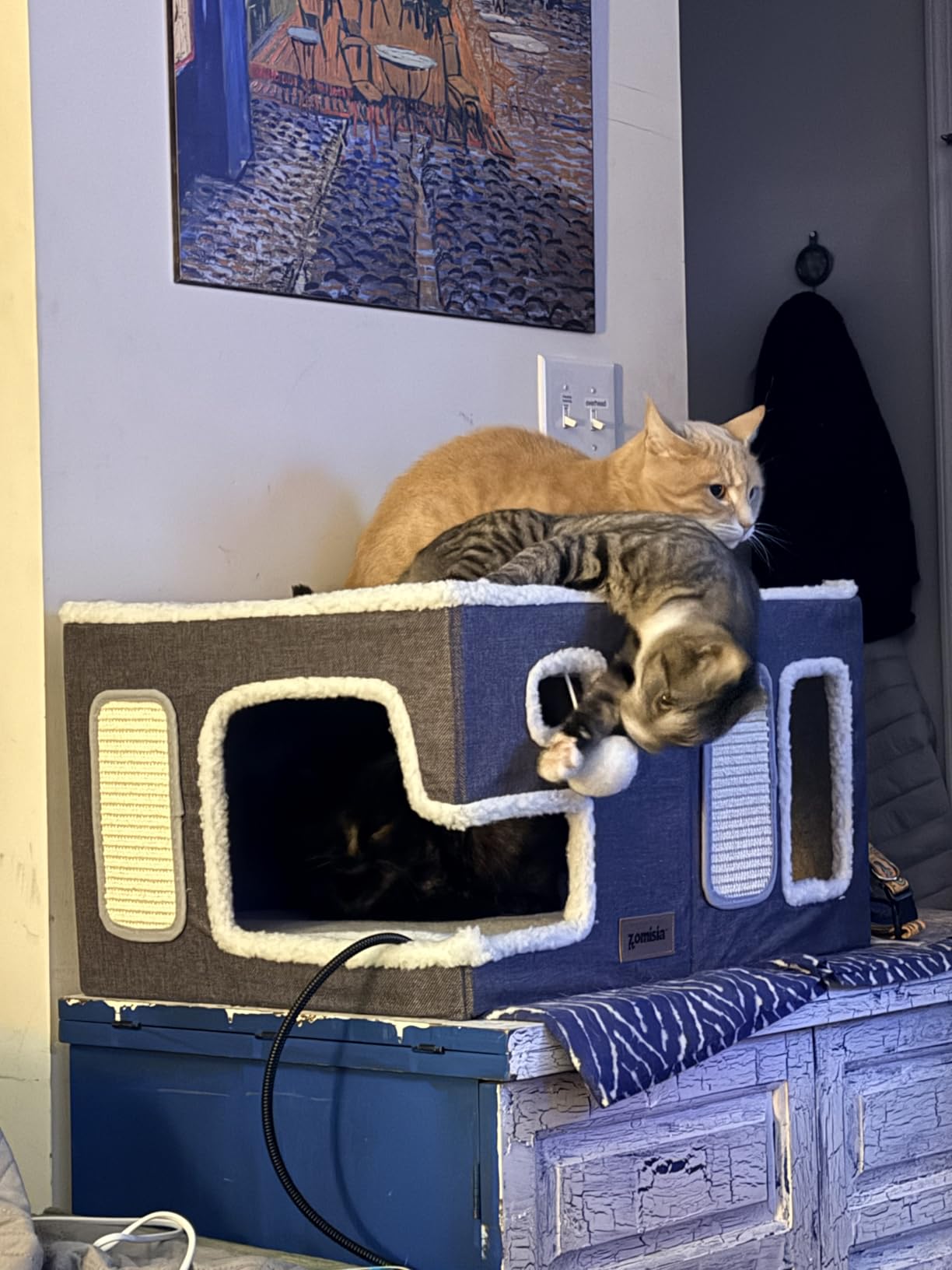 ZOMISIA Heated Cat House Bed for Indoor Cats, Cat Hideaway Cube for Sleeping | 25 Timer & 11 Temp Adjustable, Cat Warming Bed for Winter with Fluffy Ball Hanging, Removable Pet Heating Pad, 16x16x13.5 in customer photo 2