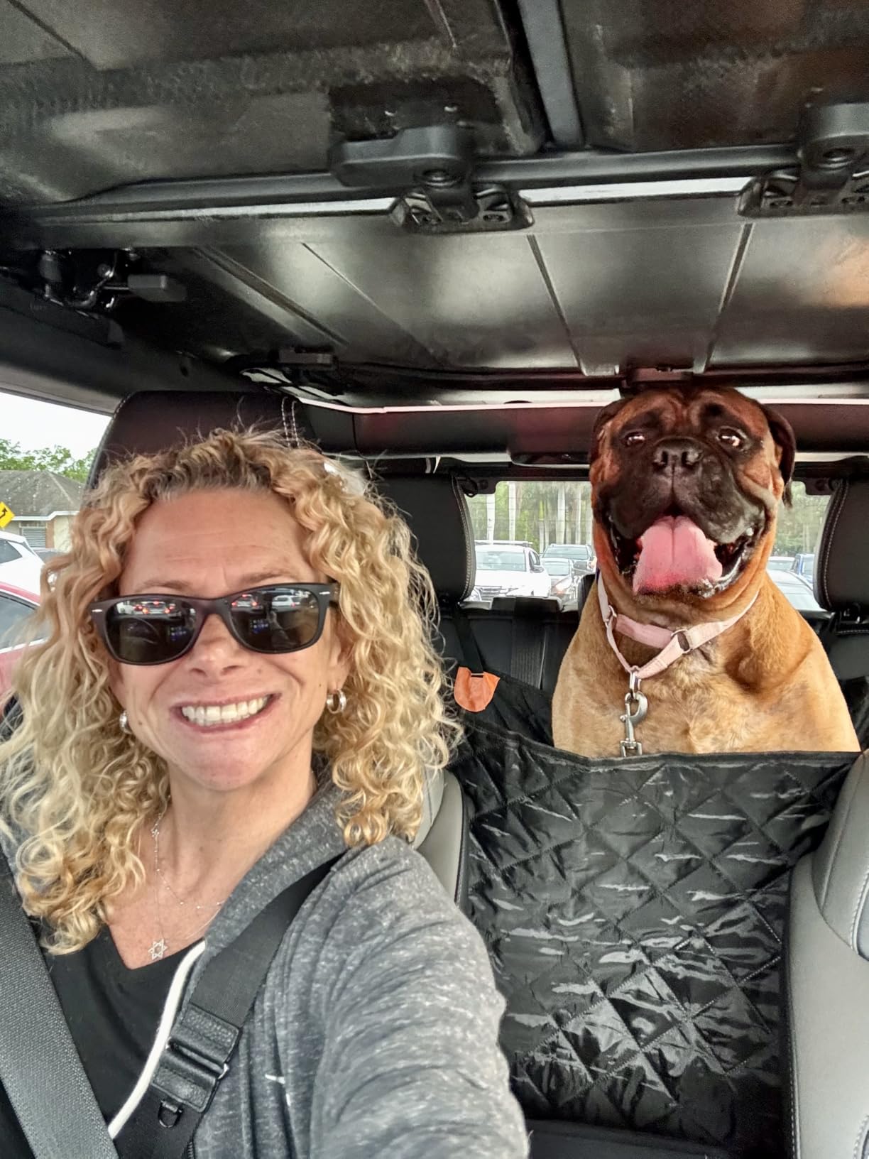 URPOWER Hard Bottom Dog Car Seat Cover for Back Seat, Waterproof Hammock | 400 lbs Support, 45% More Space, Waterproof, Fits Most Car & SUV, Mesh Window, Scratch Resistant, Non-Slip, Pee Pad Included customer photo 1