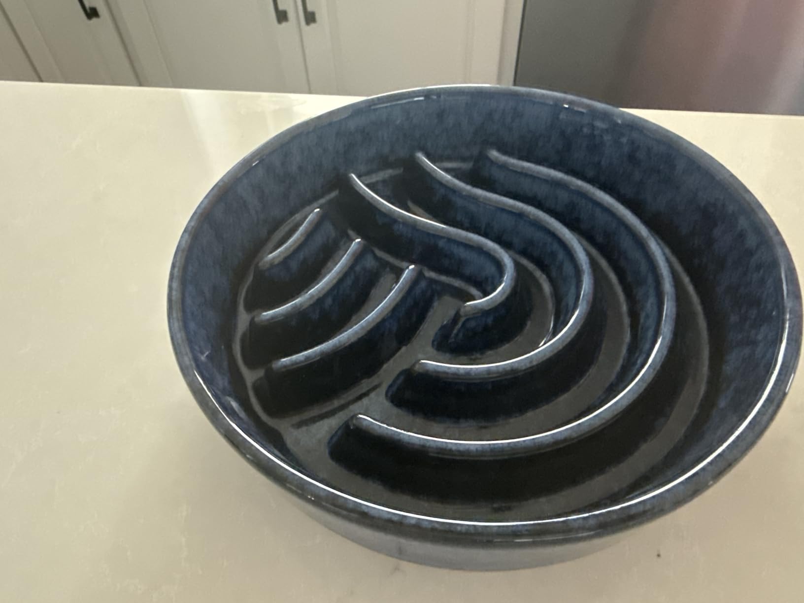 vancasso Slow Feeder Dog Bowl, 3 Cup Ceramic Slow Feeding Food Dish for Large Breed, Puzzle Dog Food Bowl for Fast Eater, Blue customer photo 2