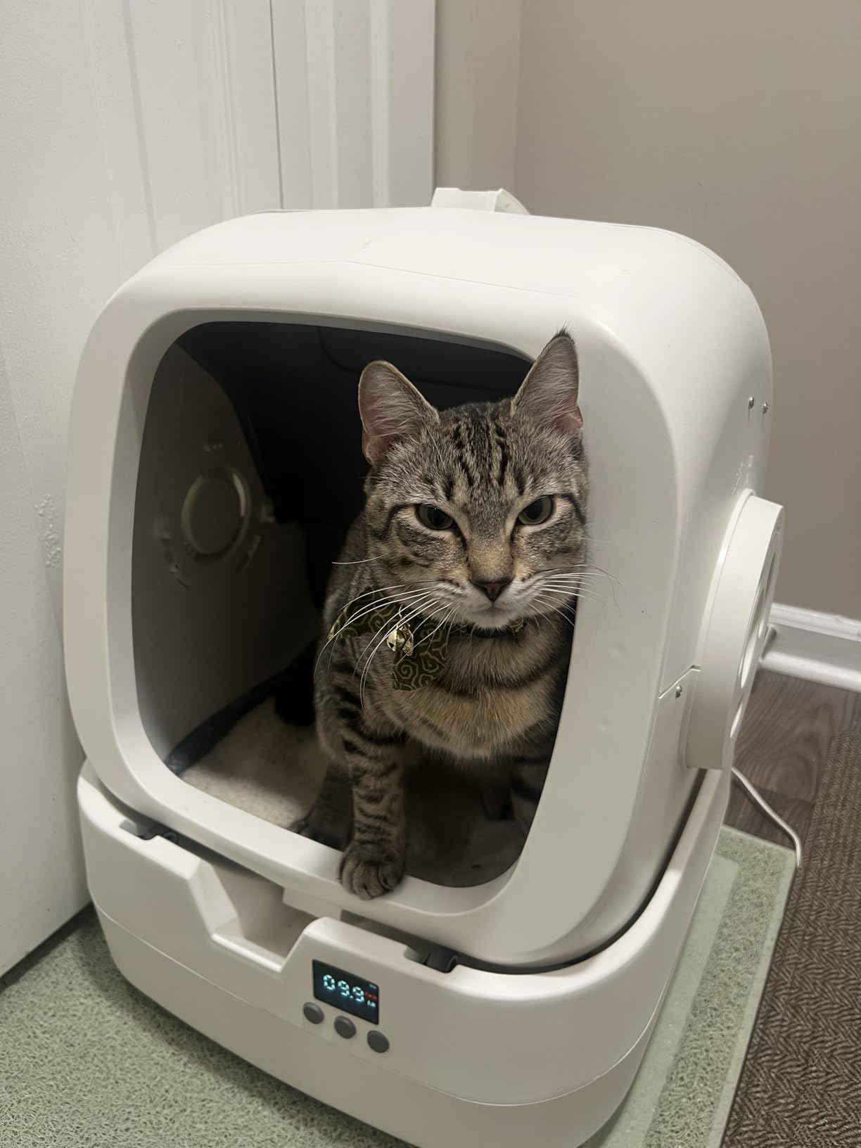 Mintakawa Automatic Cat Litter Box Self Cleaning - APP Control and Weight Monitoring - Ultra-Quiet, Suitable for Medium Cats and Kittens, Safe Anti-Pinch Litter Box (Assembly Required) - White customer photo 2