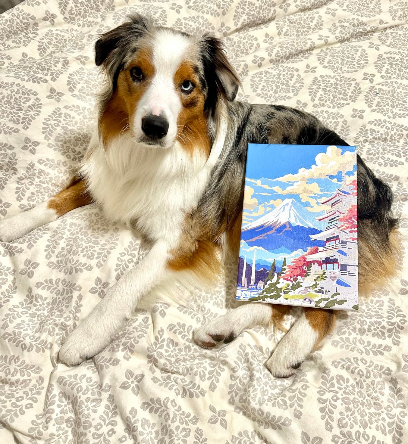 4 Pack Framed Paint by Numbers Kit for Adults with Wooden Easel, National Parks Easy Paint by Numbers with Frame for Beginners, Adult Paint by Number Kits Framed Canvas for Home Decor Gift 8x12 Inch customer photo 2