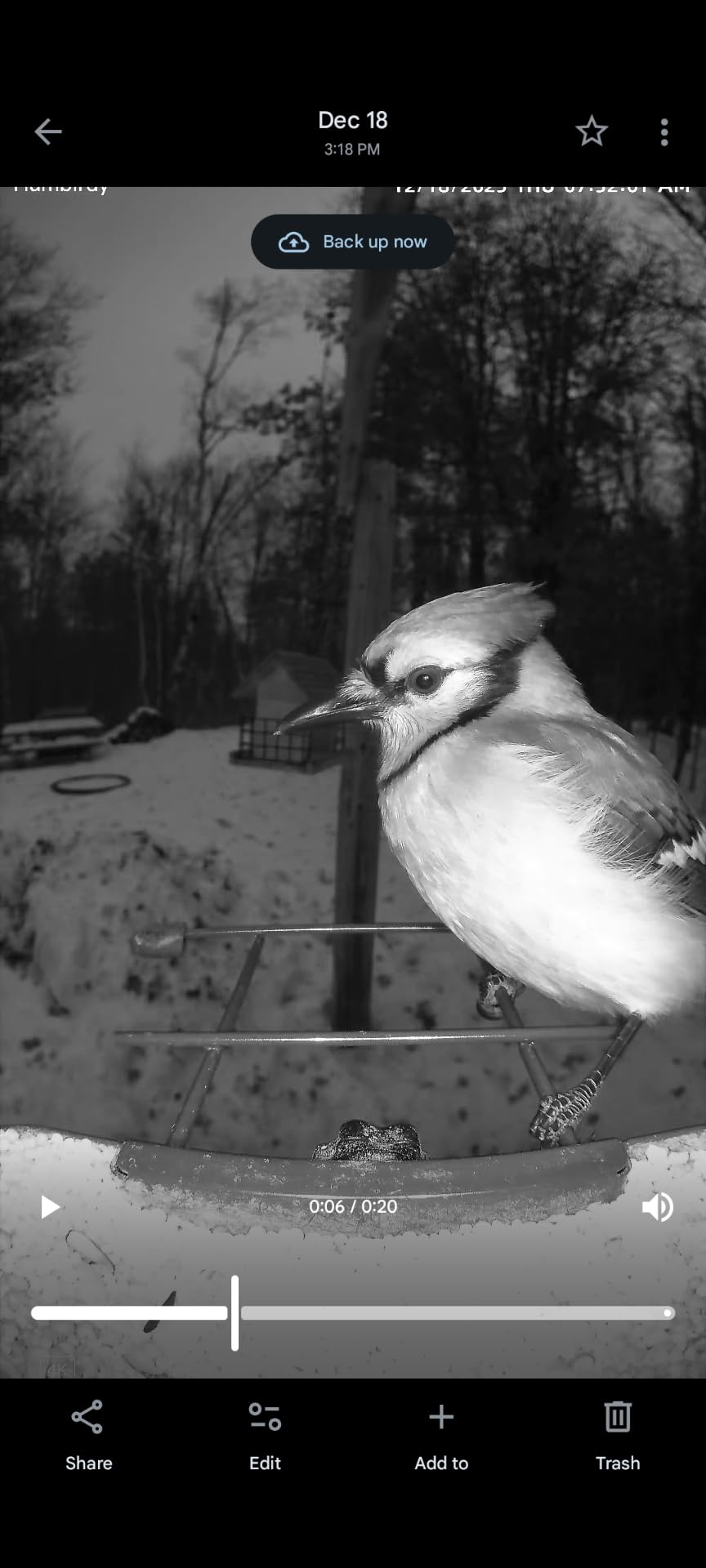 Bird Feeder with 4K Ultra HD Video, 30fps Live View, 10x Slow Motion, No Subscription, Solar Powered AI Smart Bird Feeder customer photo 2