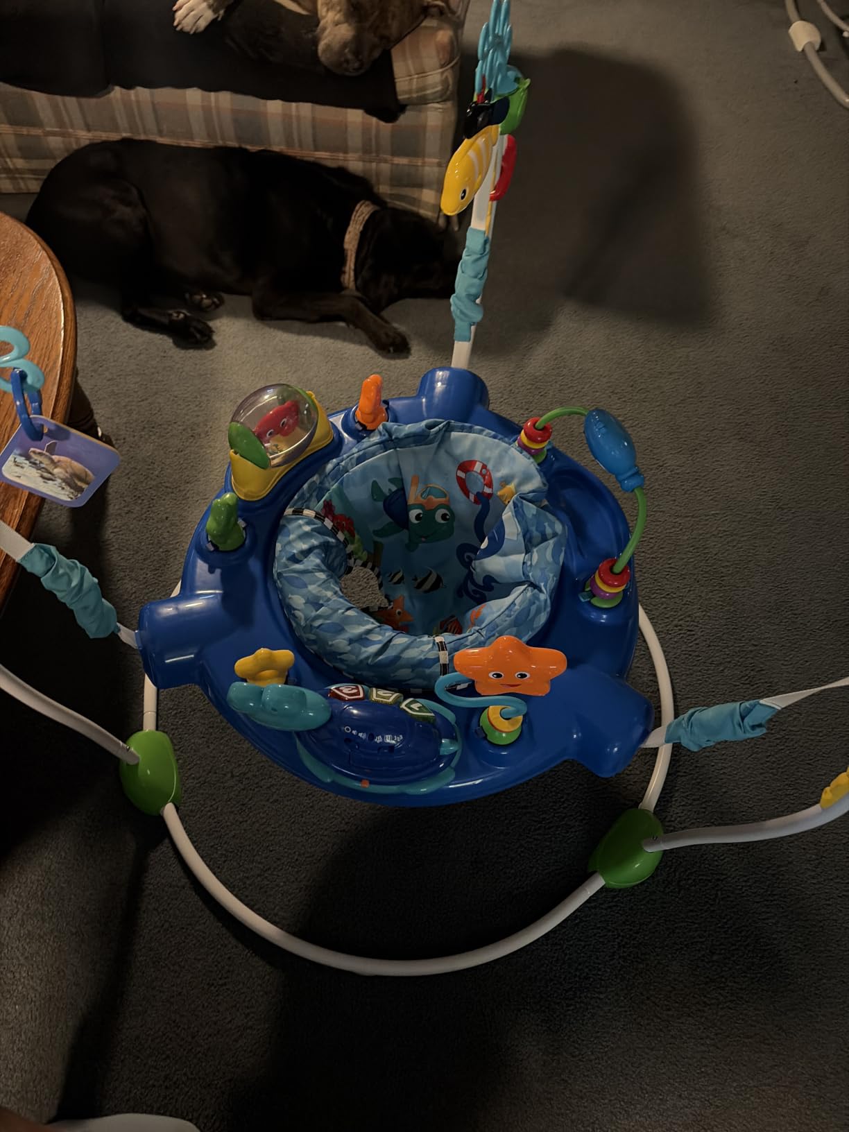 Baby Einstein Farm Explorers Jump & Learn Barnyard 2-in-1 Baby Jumper Activity Center with Interactive Toys, Music, Lights, & Sounds, Ages 6-12 Months customer photo 2