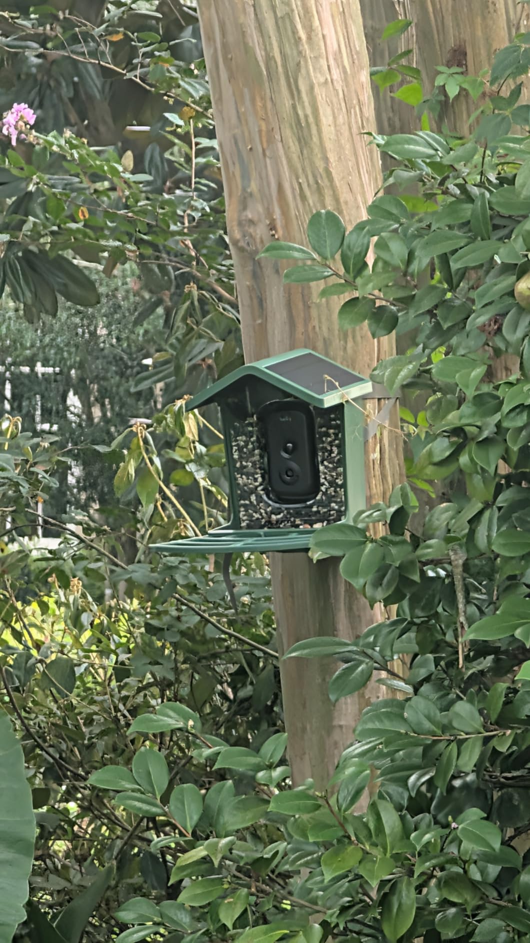 Hibird 4K HD Smart Bird Feeder with Camera Solar Powered, 2.4GHz/5GHz Dual WiFi Auto Capture Bird Video, Real-time Notifications & Live Streaming, AI Identify 10000+ Species for Gift customer photo 2
