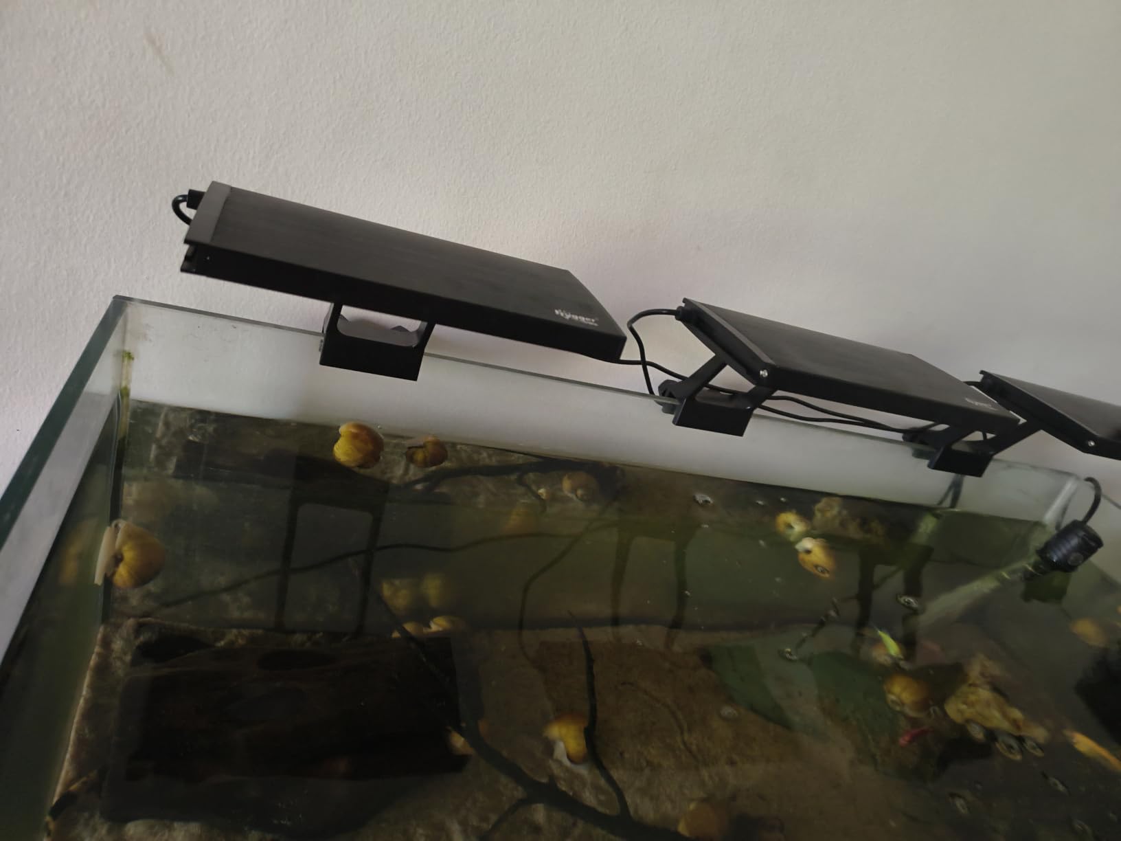 hygger Clip On Aquarium LED Light with Multi-Channel Controller, Fish Tank Light 24/7 Lighting Sunrise-Daylight-Moonlight and DIY Mode, Adjustable Timer/Brightness Light 7 Colors for Freshwater (2) customer photo 2