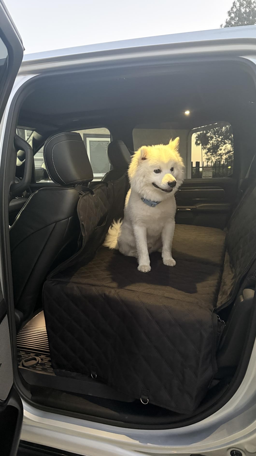 REEVAA 2.0 Hard Bottom Back Seat Cover for Large Dogs, L, Black customer photo 2
