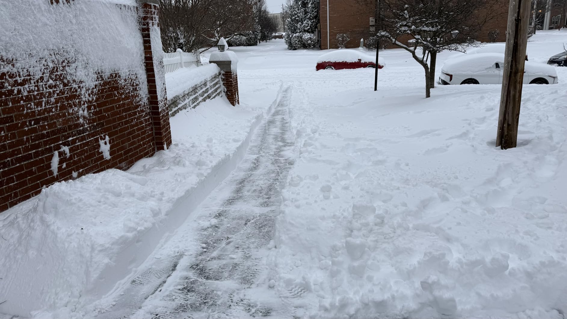 Snow Joe IONMAX 48V Cordless Electric Snow Blower Machine, 24V-X2-SB18-GO | 18 Inch, Powered Single-Stage Thrower with LED Light and Wheels for Driveway Clearing customer photo 1