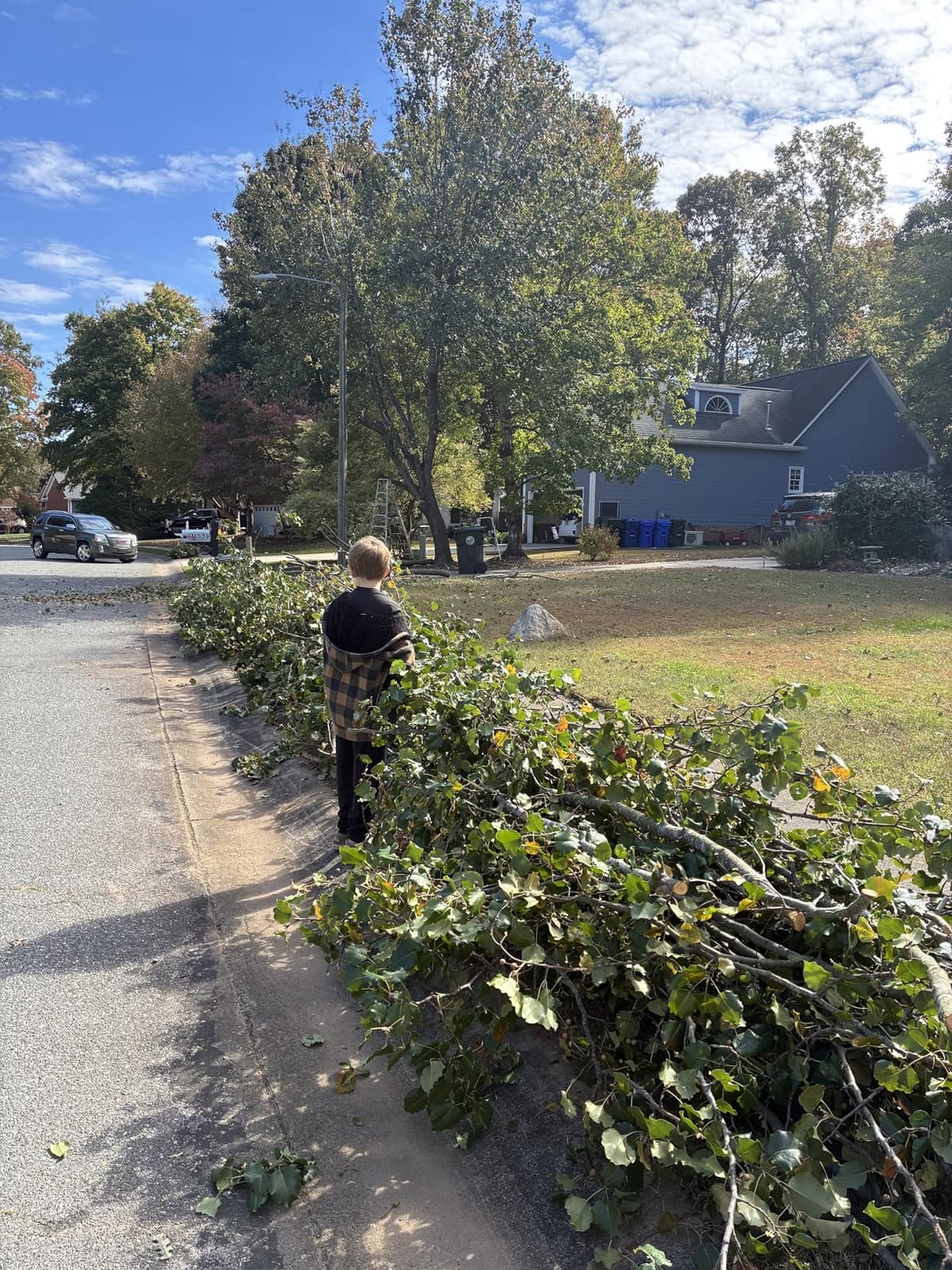 SEYVUM 40V Cordless Chainsaw 16 In with 2x4.0Ah Battery, Tool-free Chain Tension customer photo 1